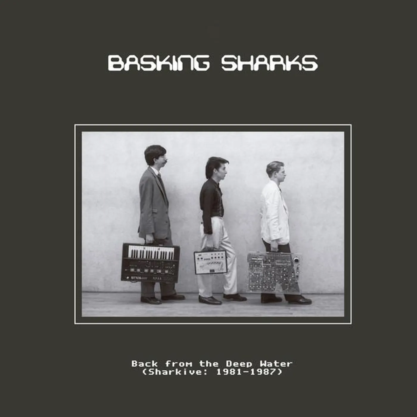 Basking Sharks Brand Page