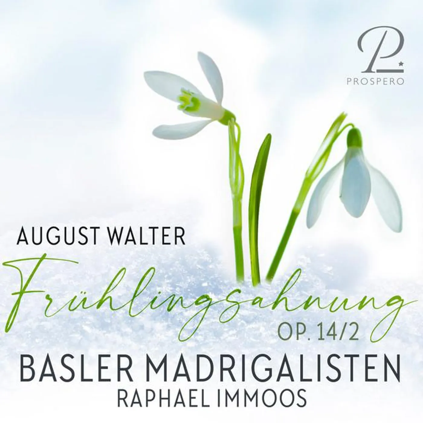 Basler Madrigalisten Brand Page