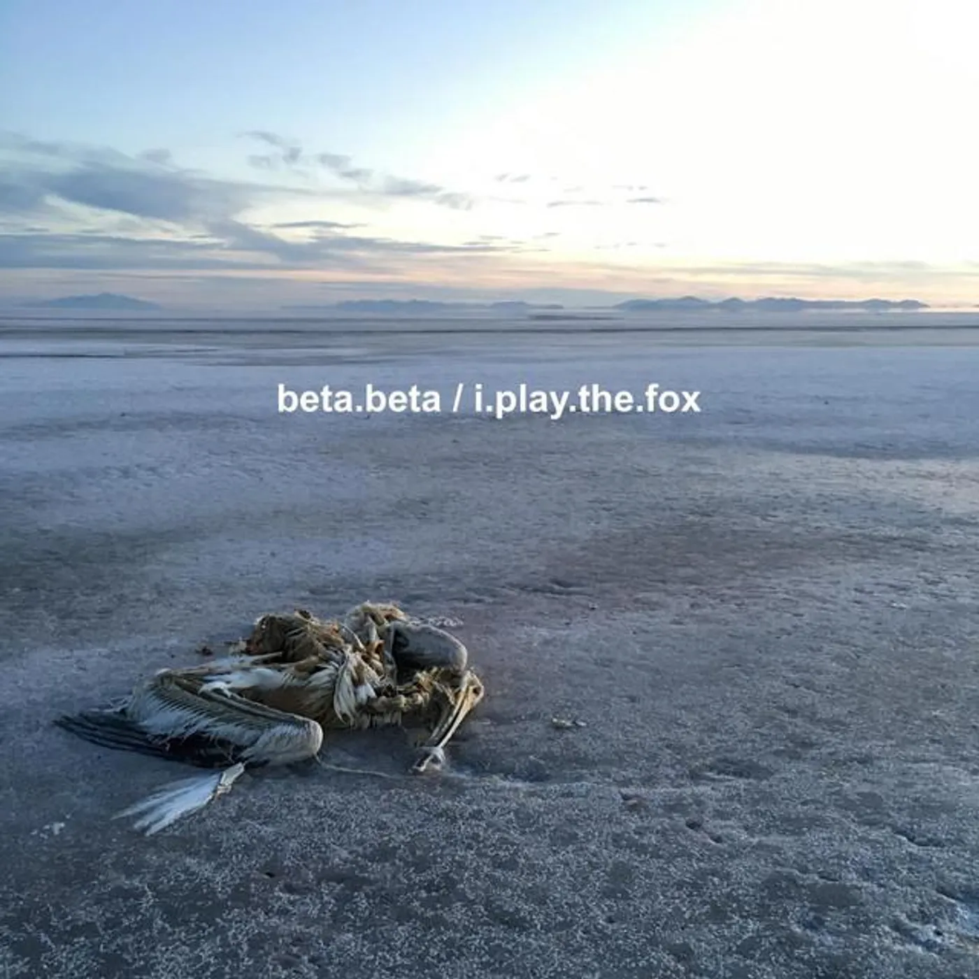 beta.beta