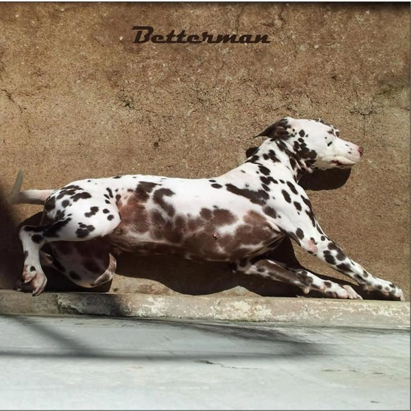 Betterman
