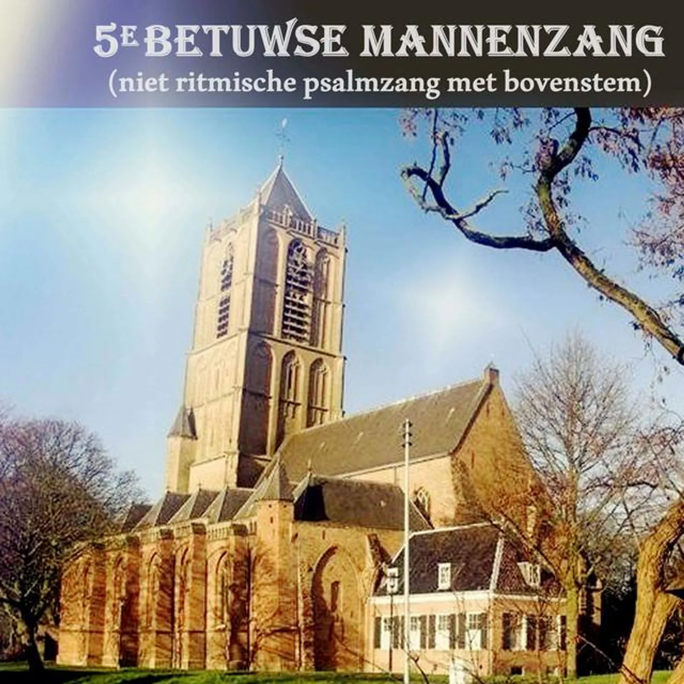 Betuwse Mannenkoren