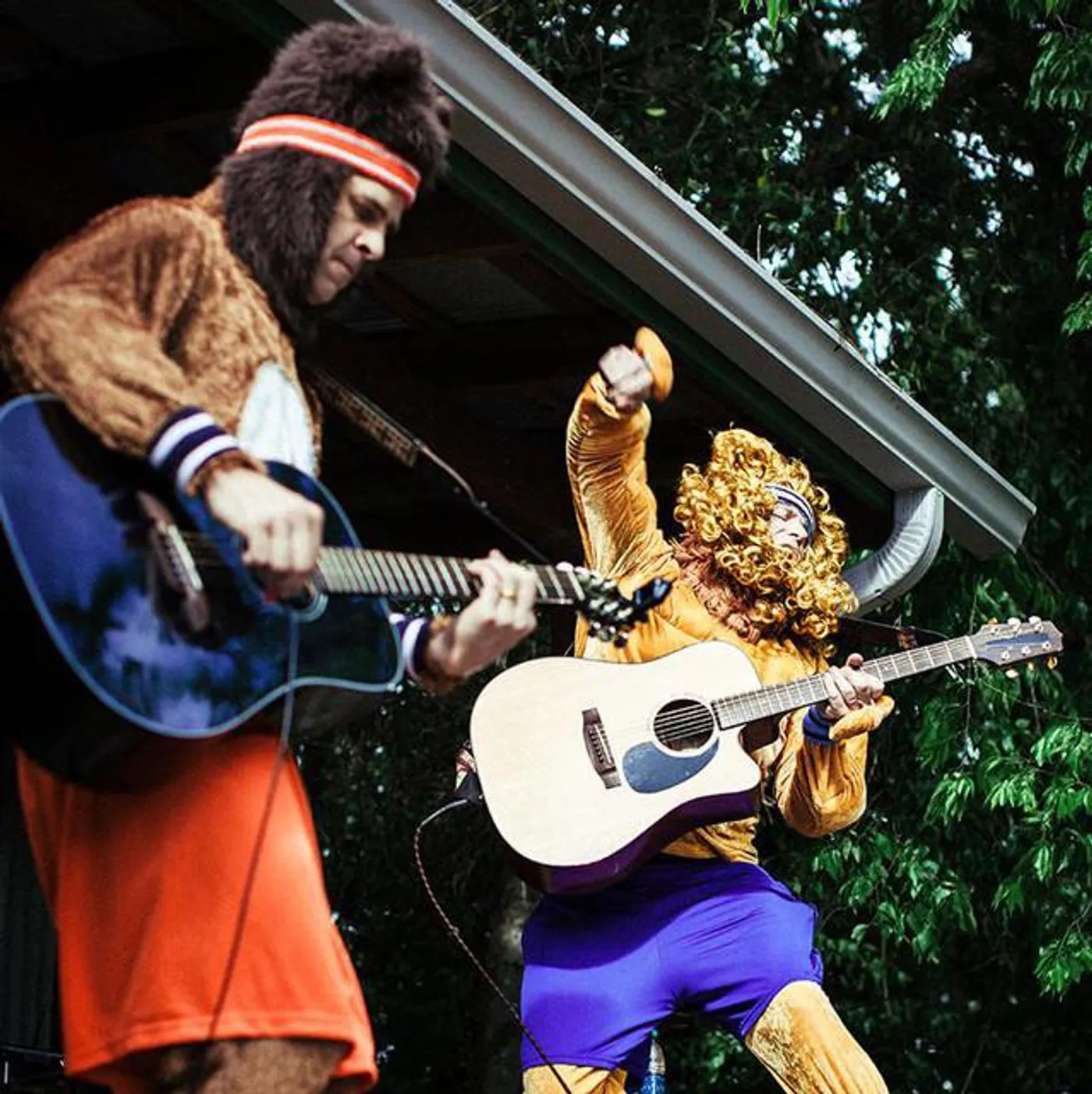 Bears and Lions