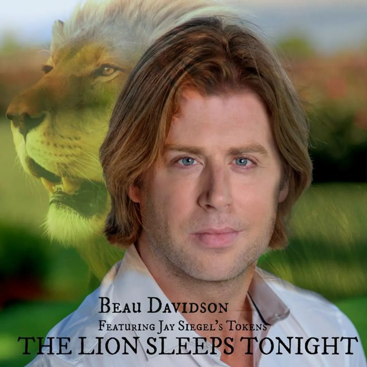 Beau Davidson Brand Page