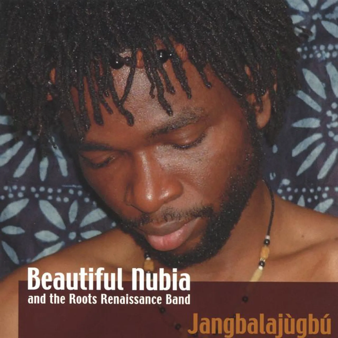Beautiful Nubia and the Roots Renaissance Band Brand Page