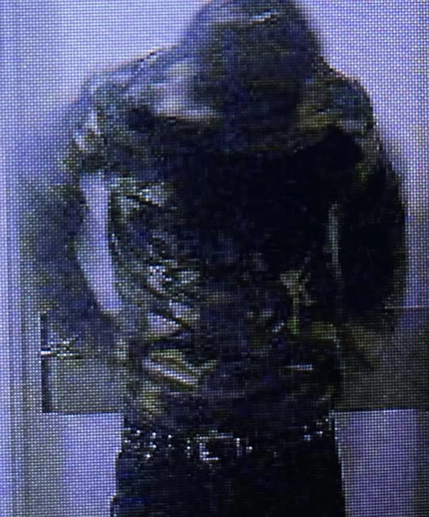 Bebe Choppa