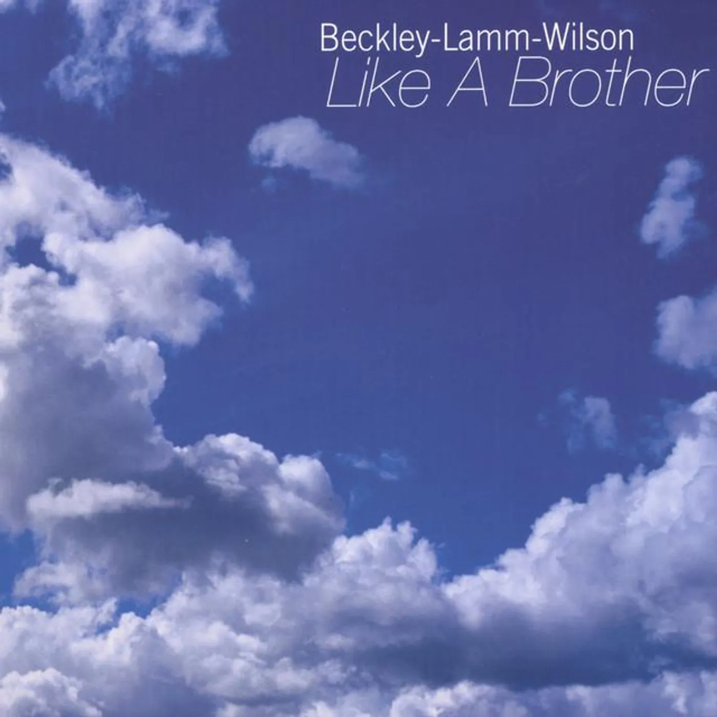 Beckley Lamm Wilson Brand Page