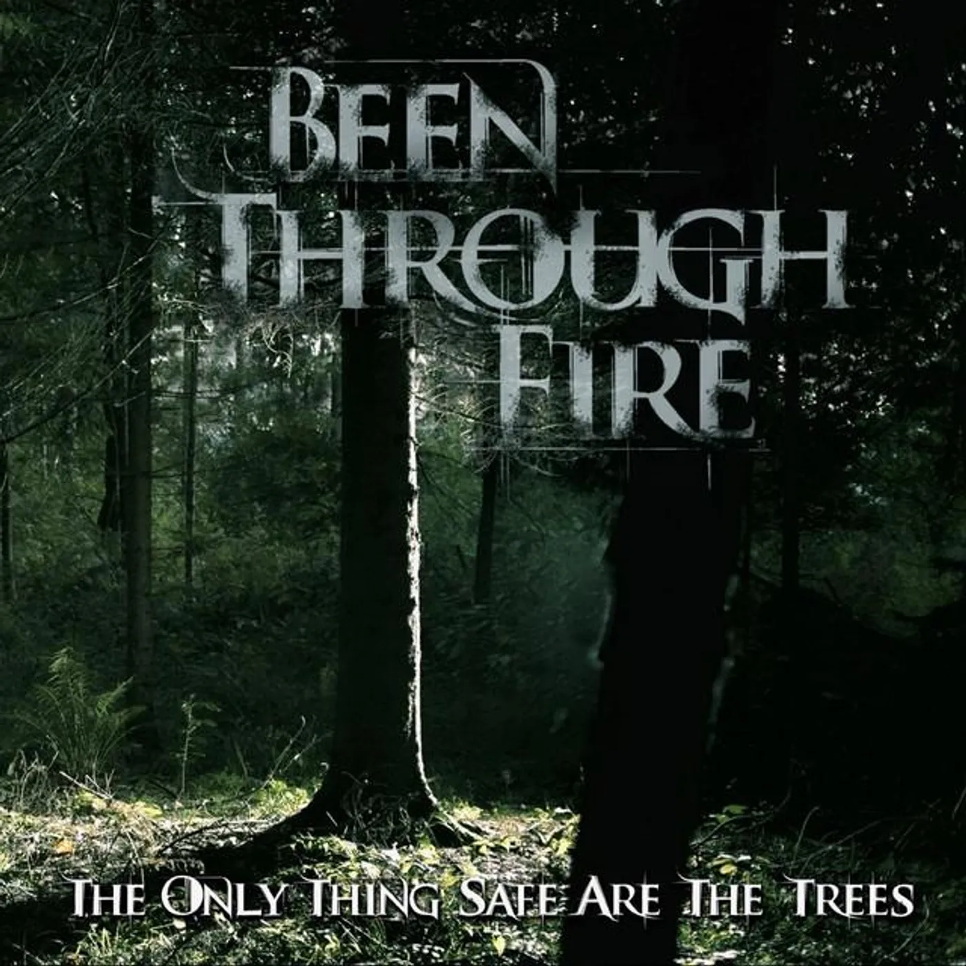 Been Through Fire