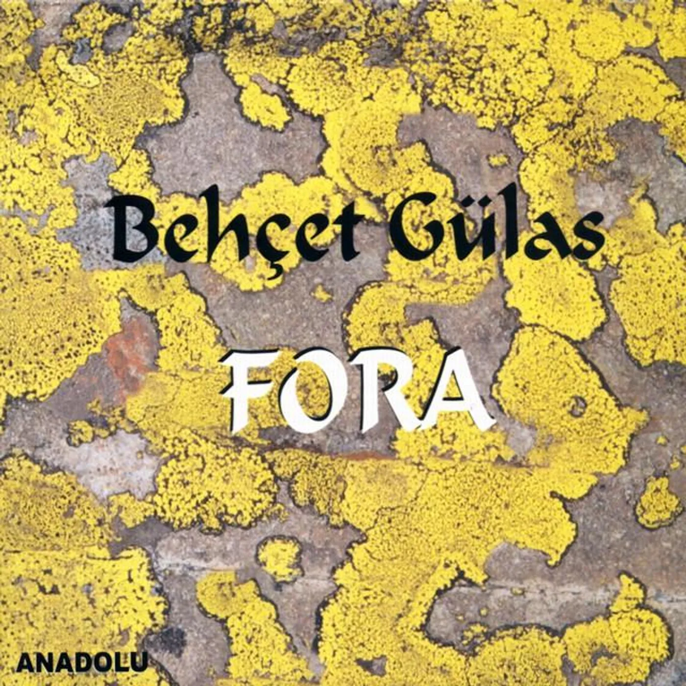 Behçet Gülas Brand Page