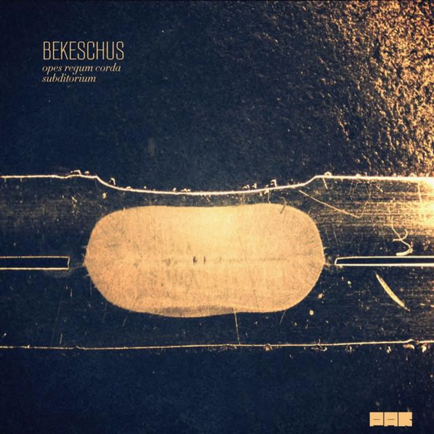 Bekeschus
