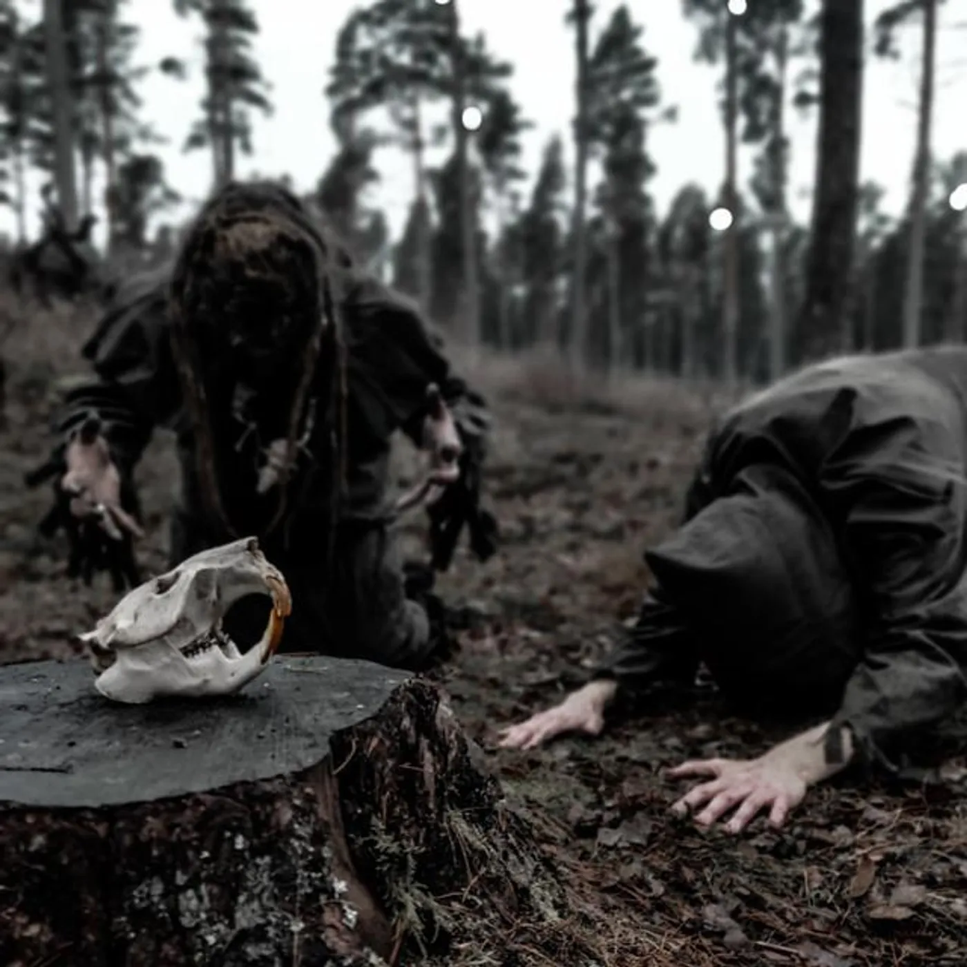 Belarus Beaver