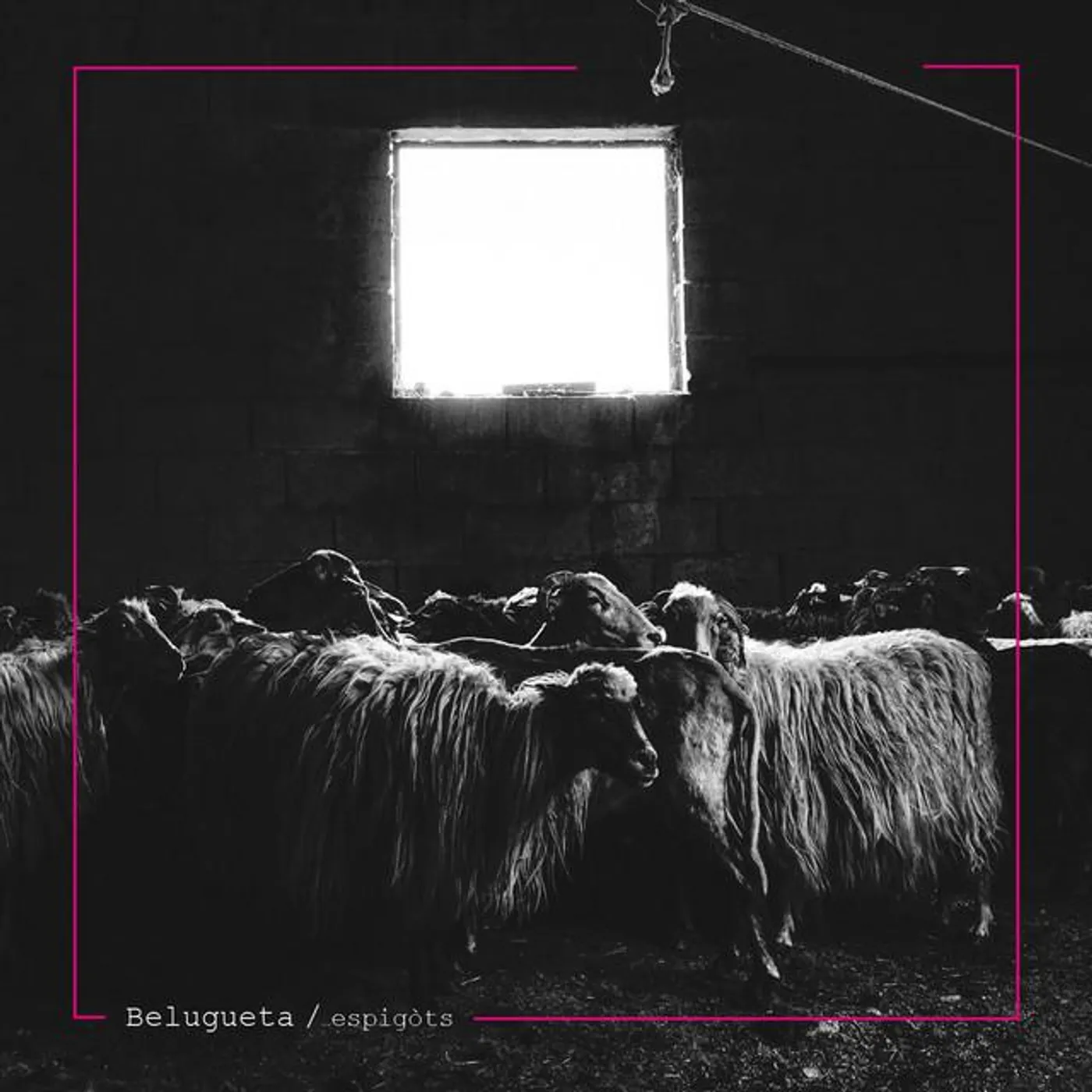 Belugueta Brand Page