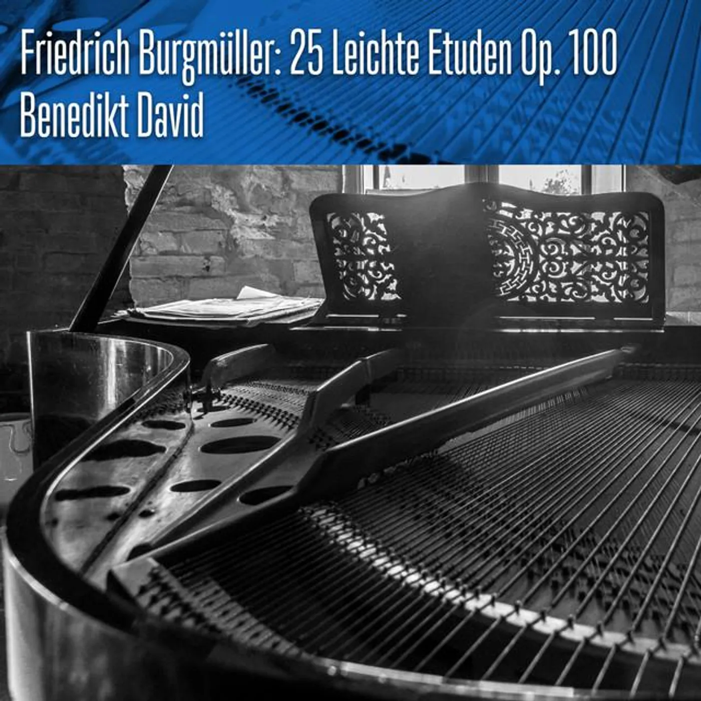 Benedikt David Brand Page