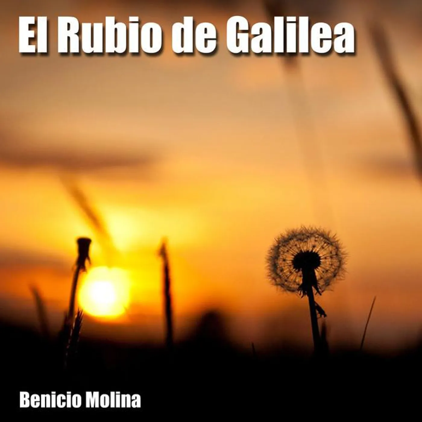 Benicio Molina
