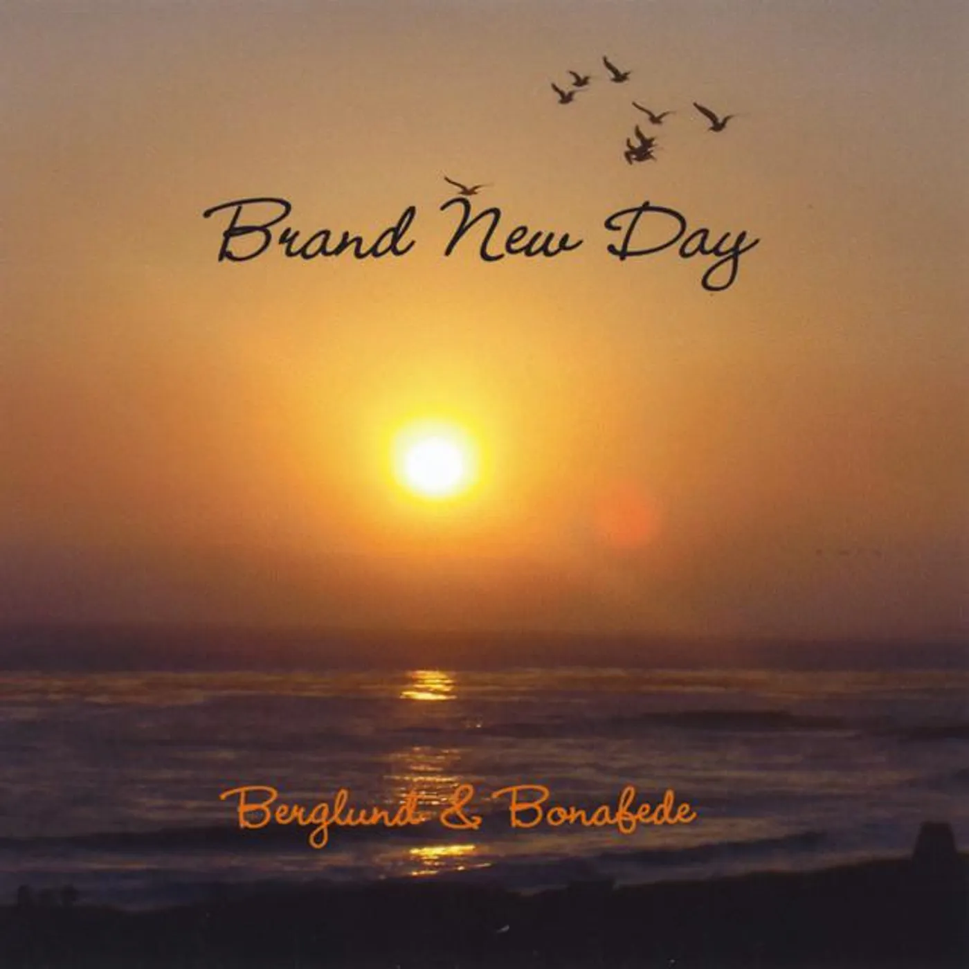 Berglund & Bonafede Brand Page