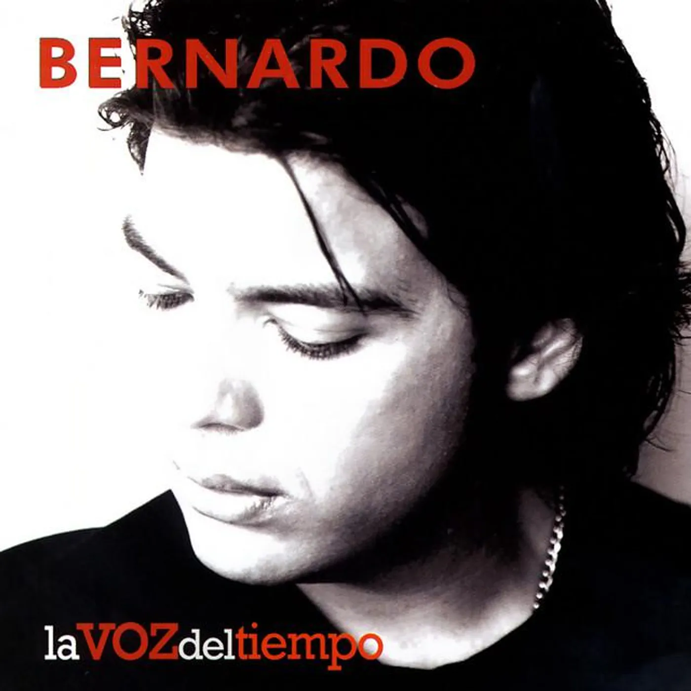 Bernardo Brand Page