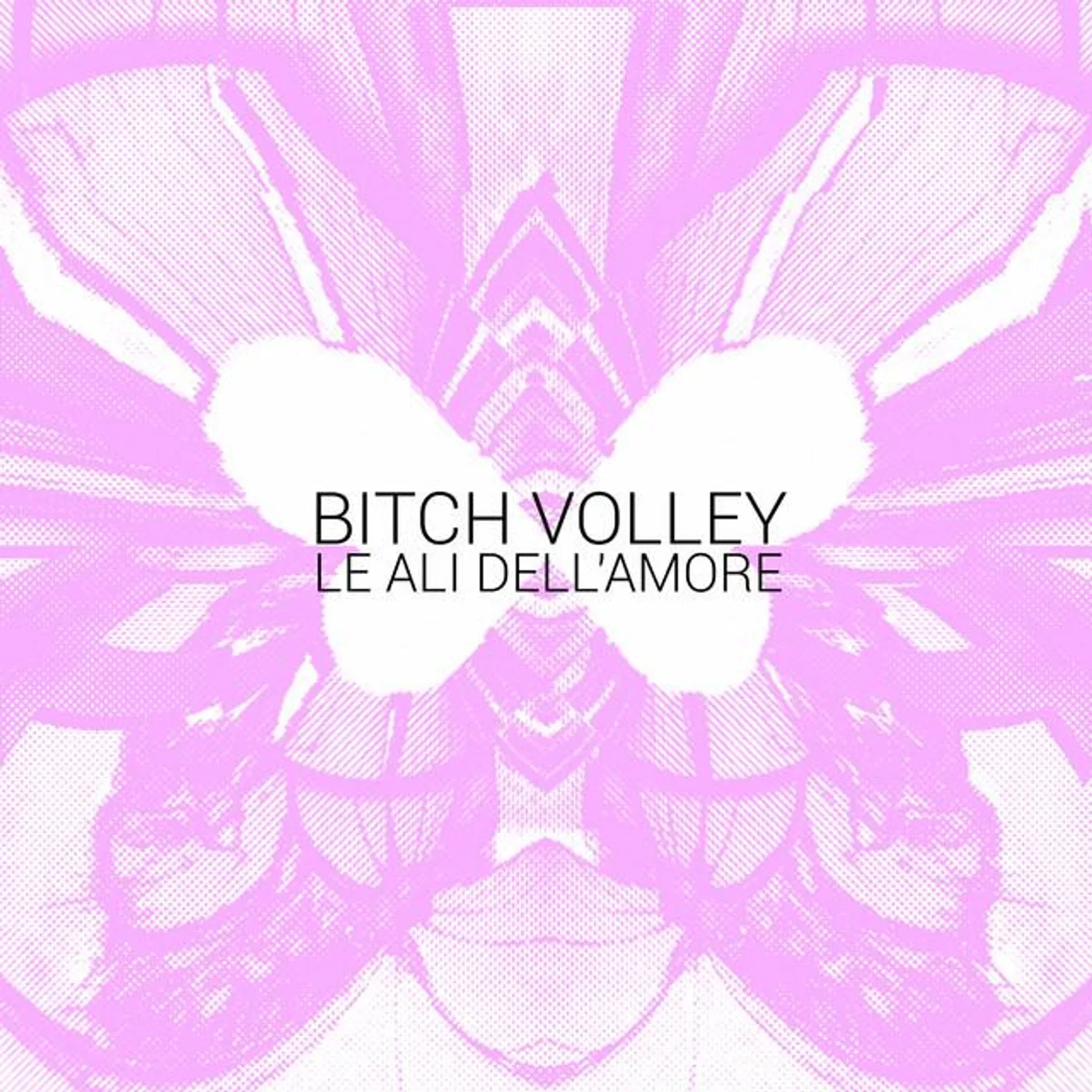 Bitch Volley