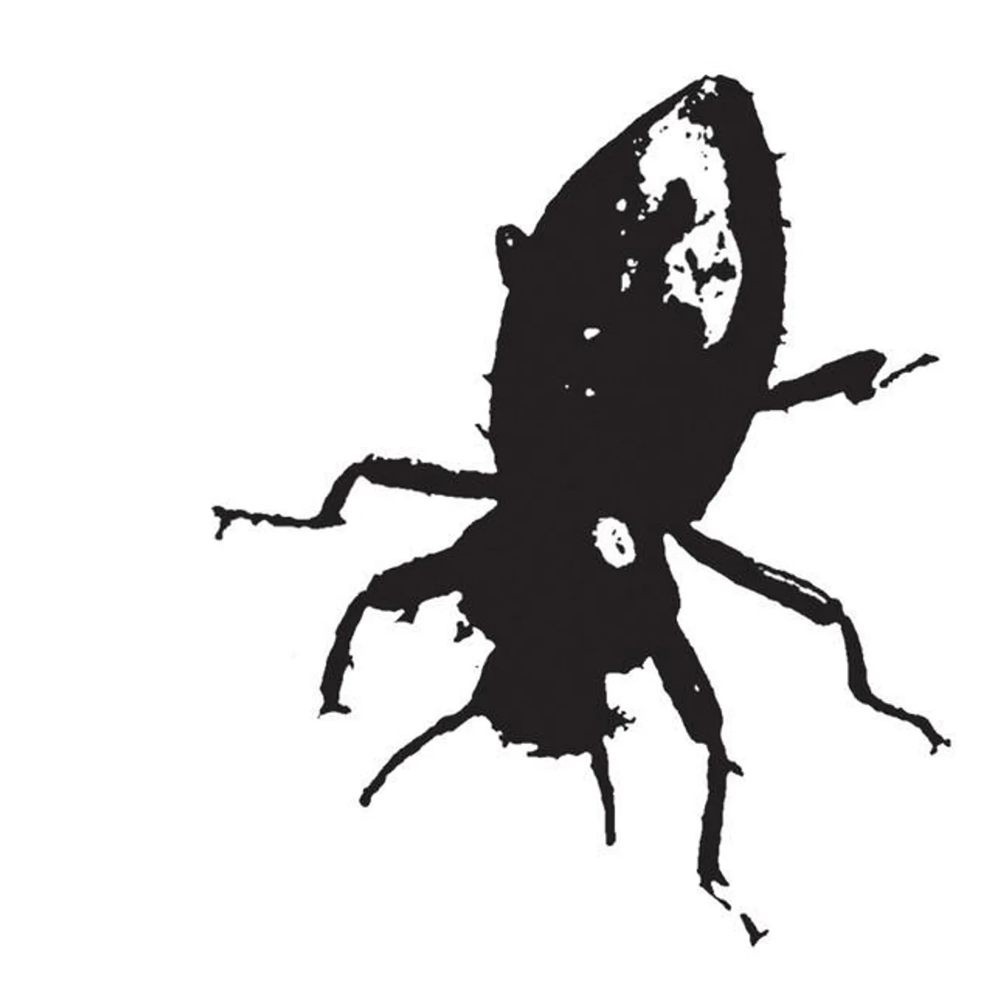 Big Black Bugs