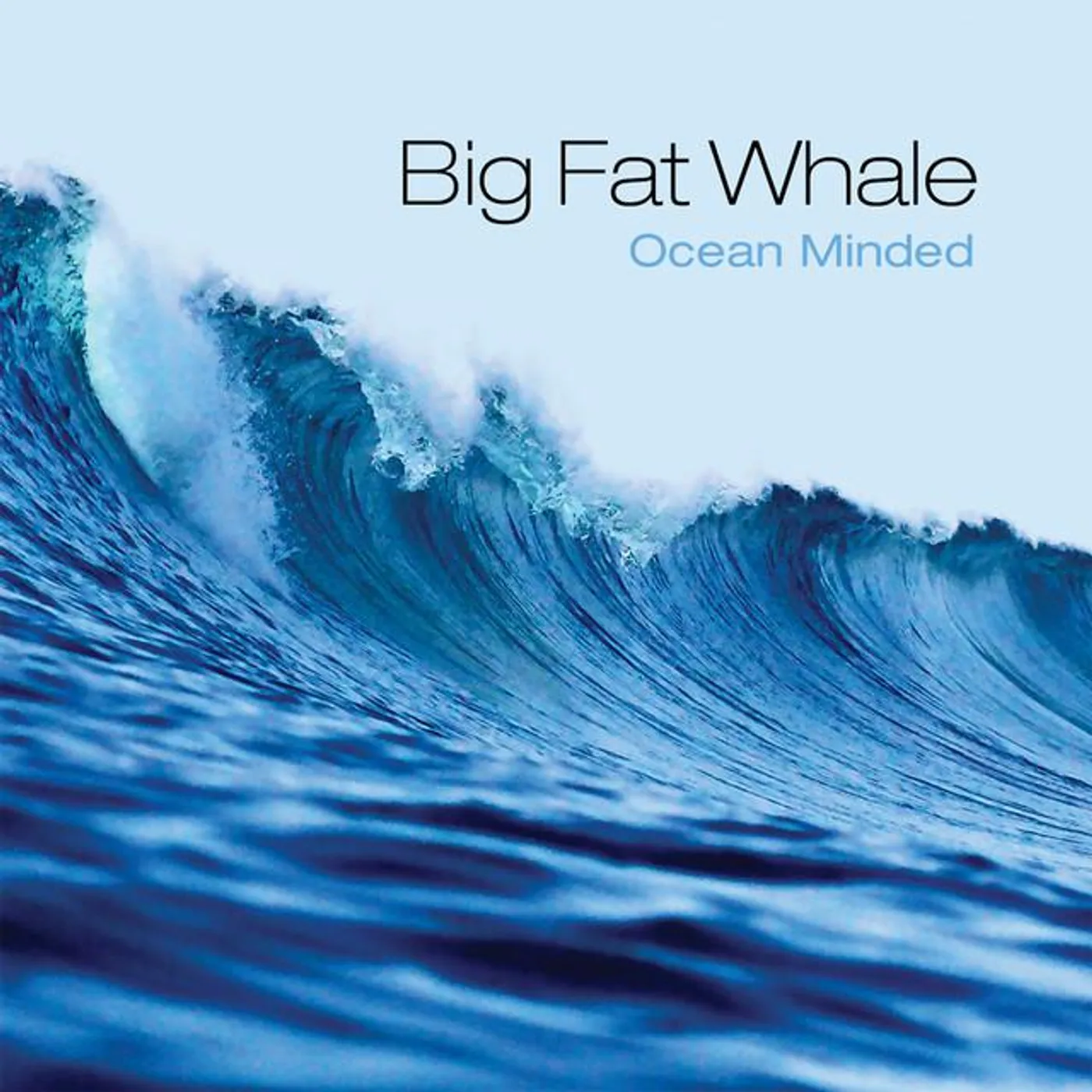 Big Fat Whale Brand Page