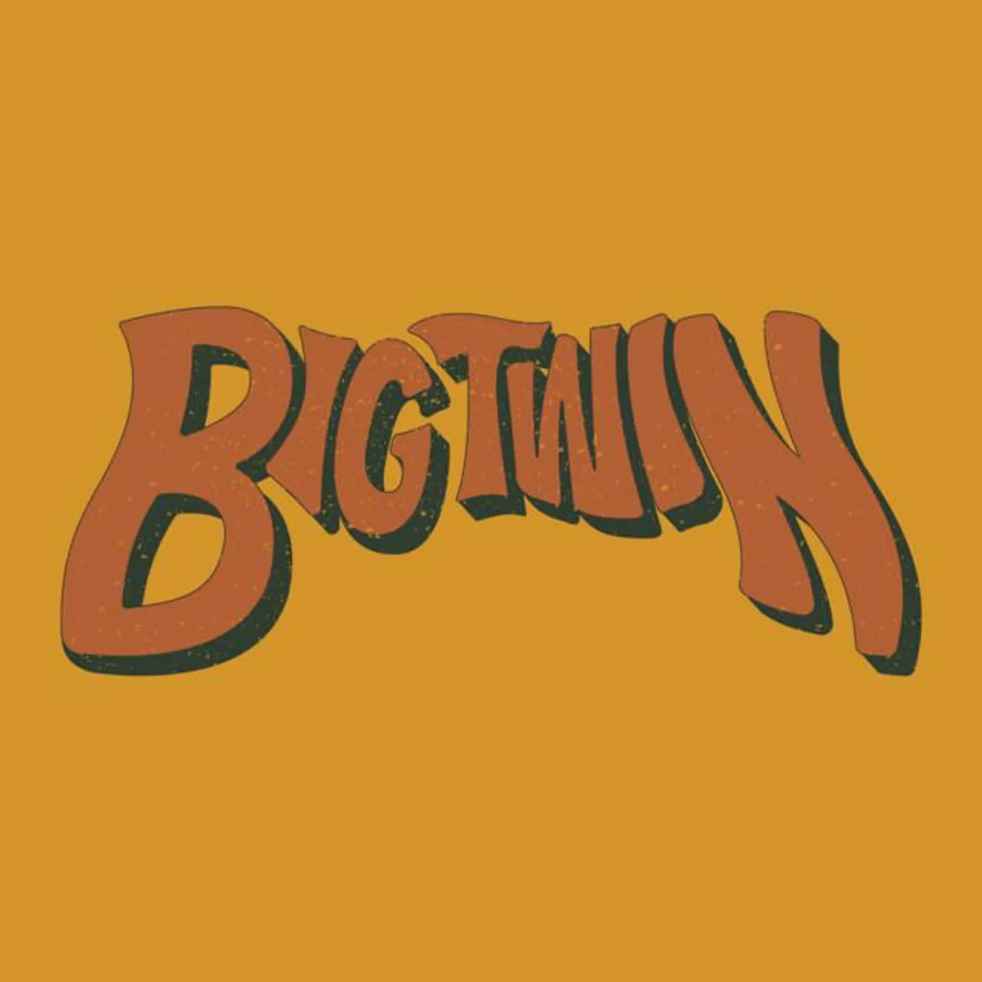 Big Twin Brand Page