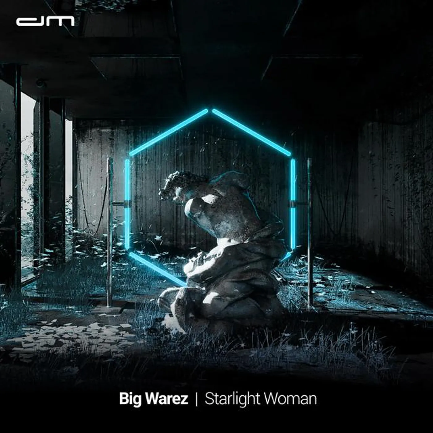 Big Warez