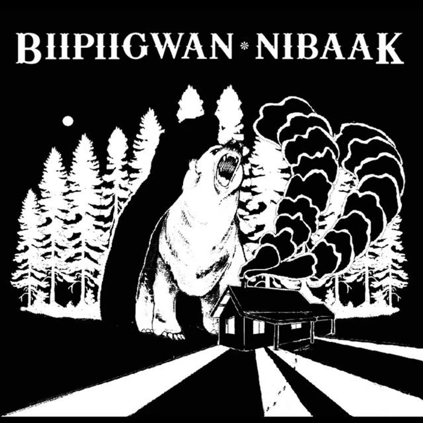 Biipiigwan Brand Page