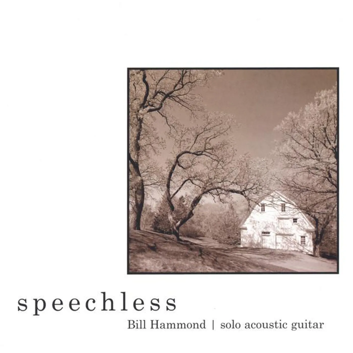 Bill Hammond Brand Page