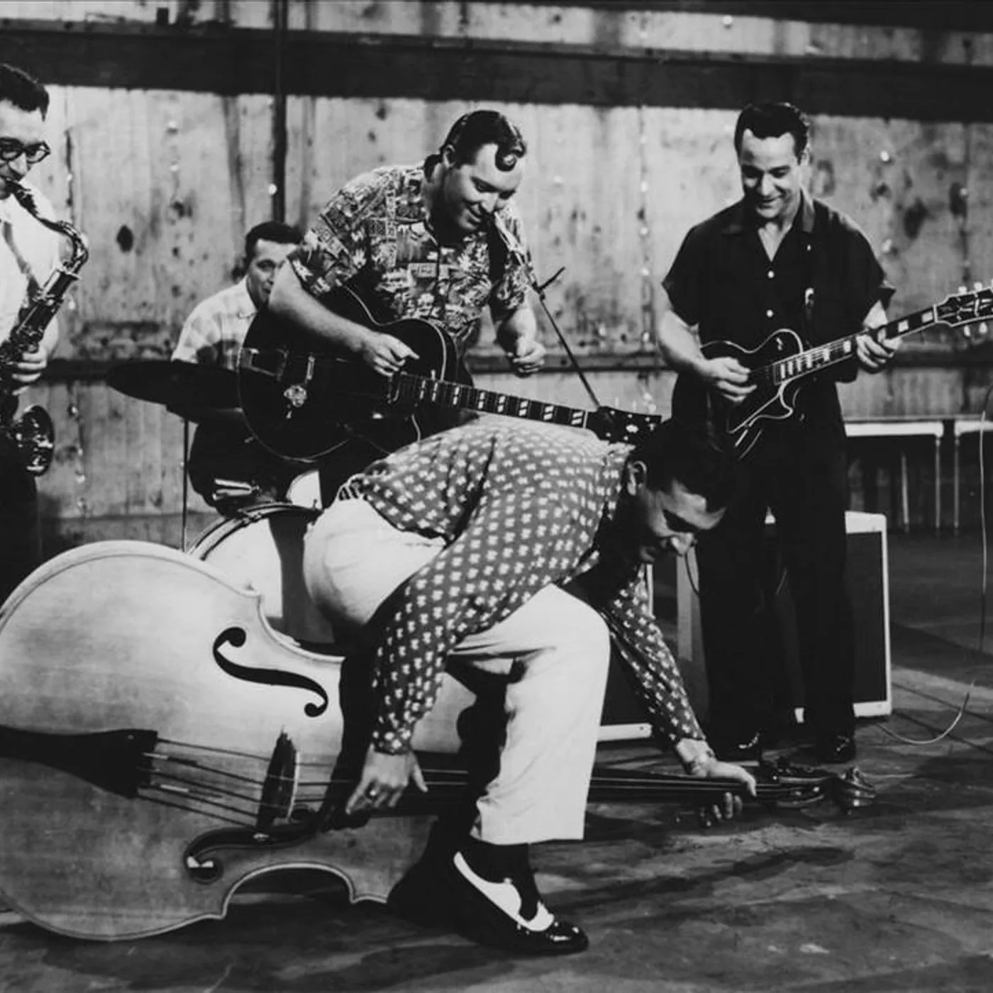 Bill Haley Brand Page