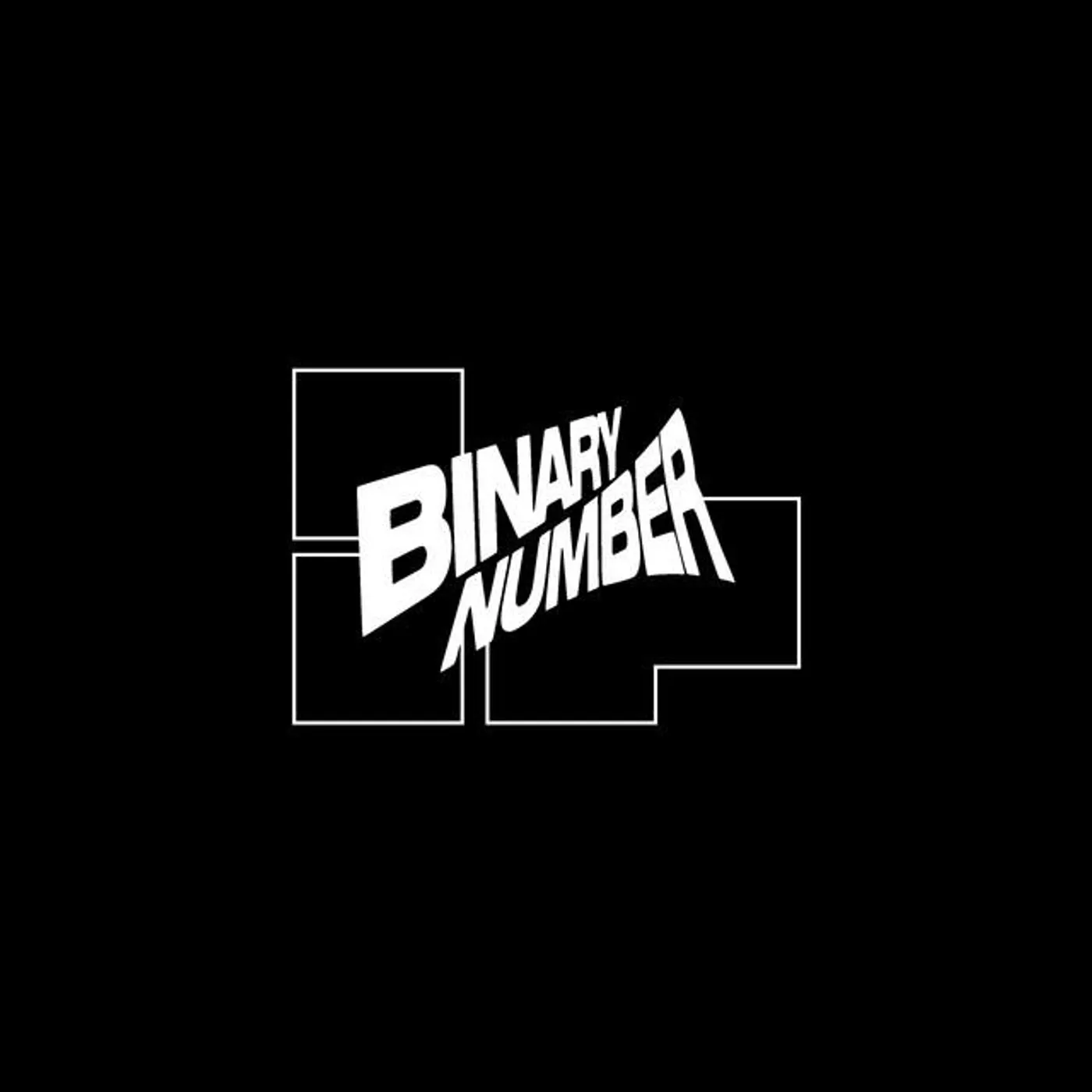 Binary Number