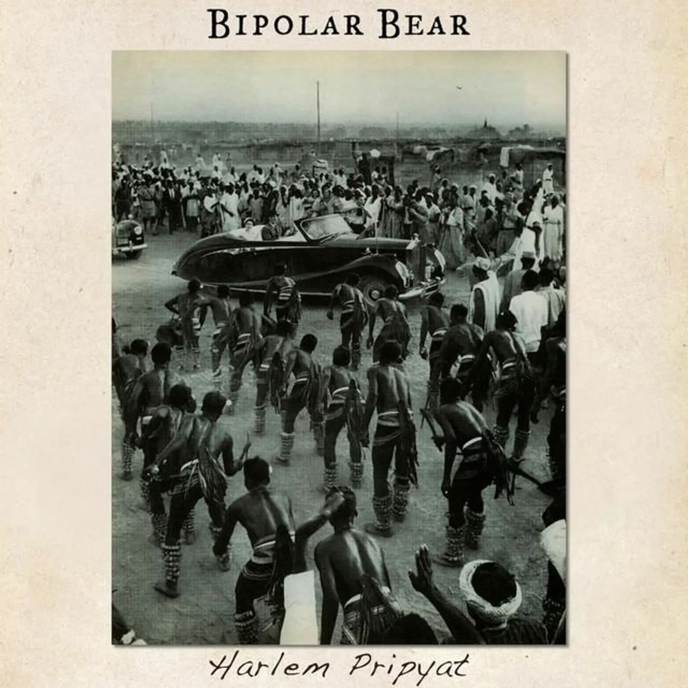 Bipolar Bear