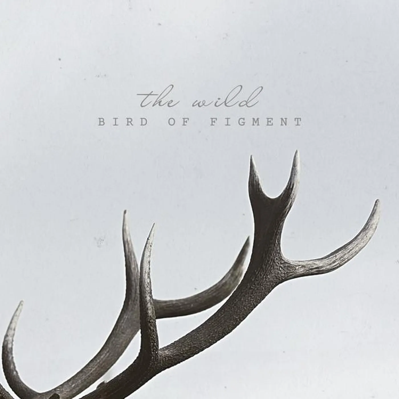 Bird Of Figment Brand Page