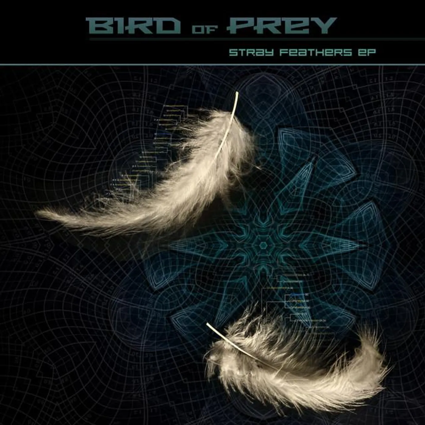 Bird of Prey Brand Page