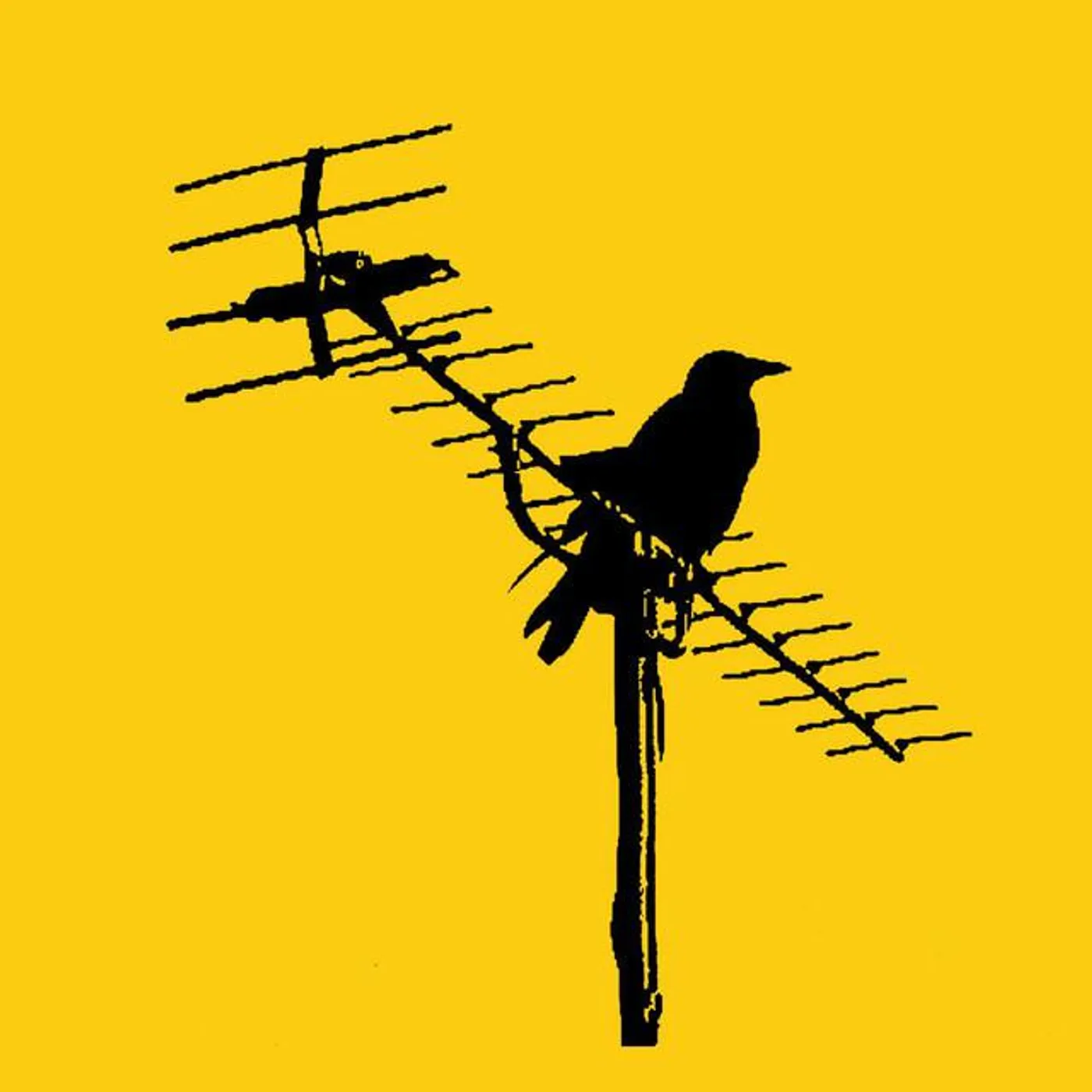 BirdPen Brand Page