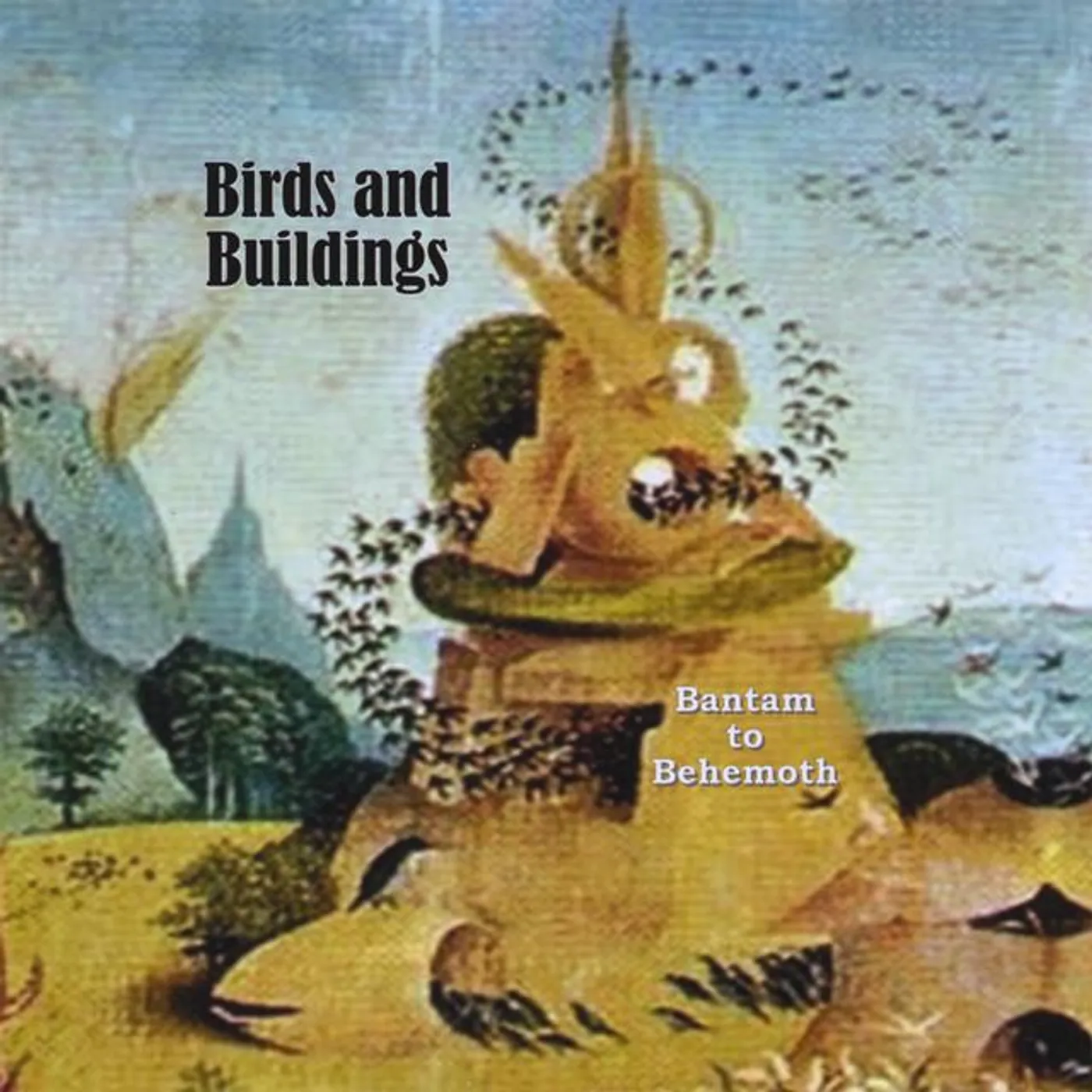 Birds And Buildings