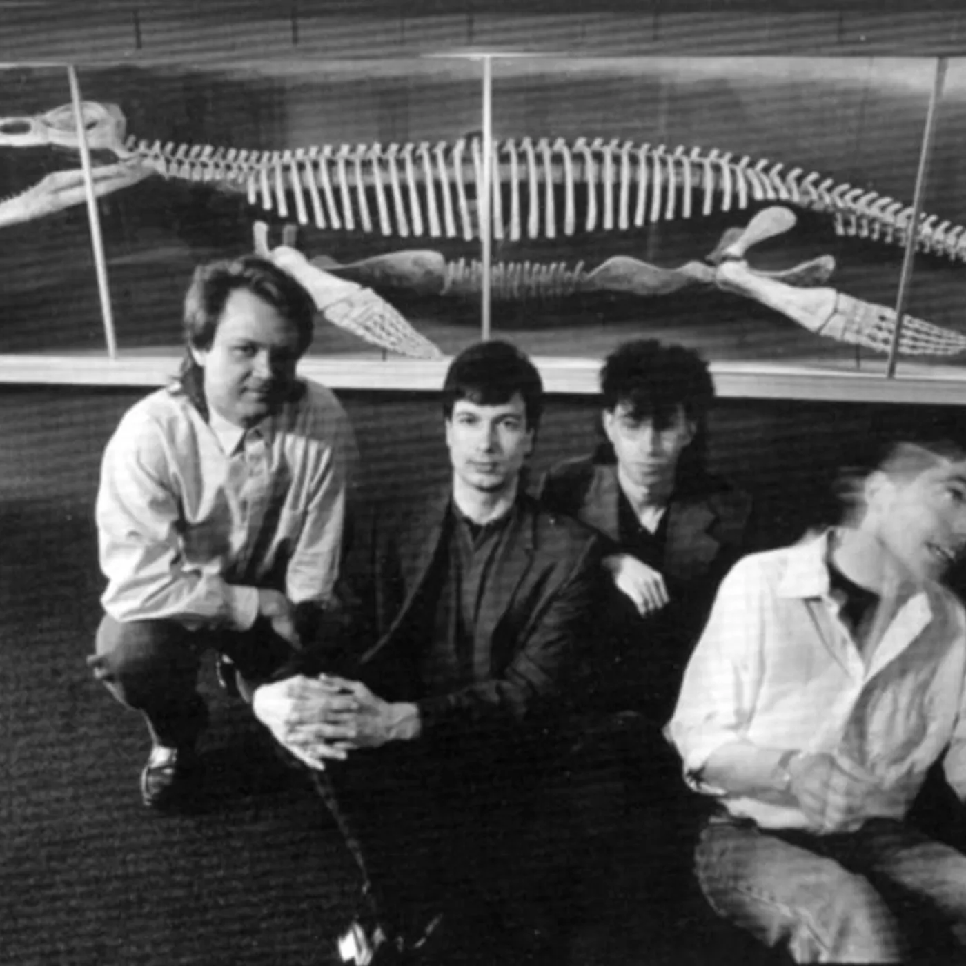 Birdsongs of the Mesozoic