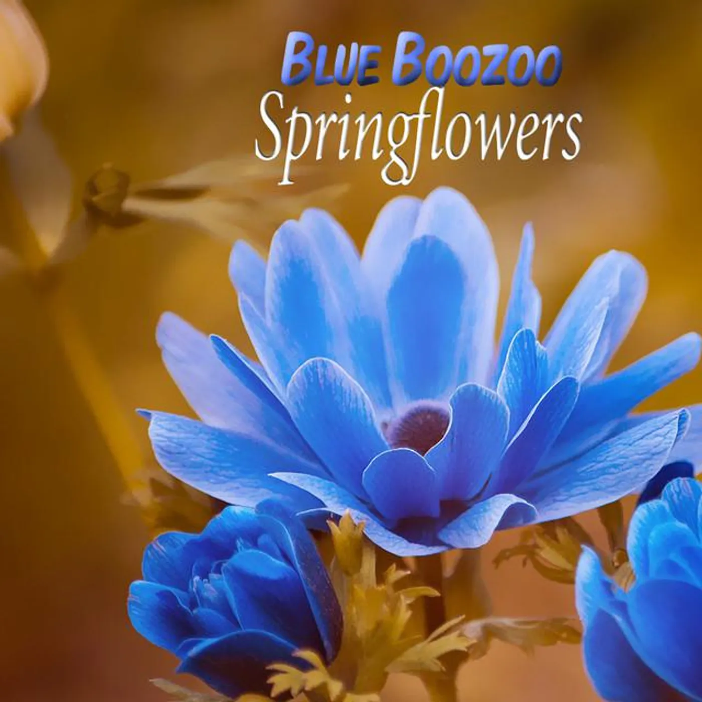 Blue Boozoo
