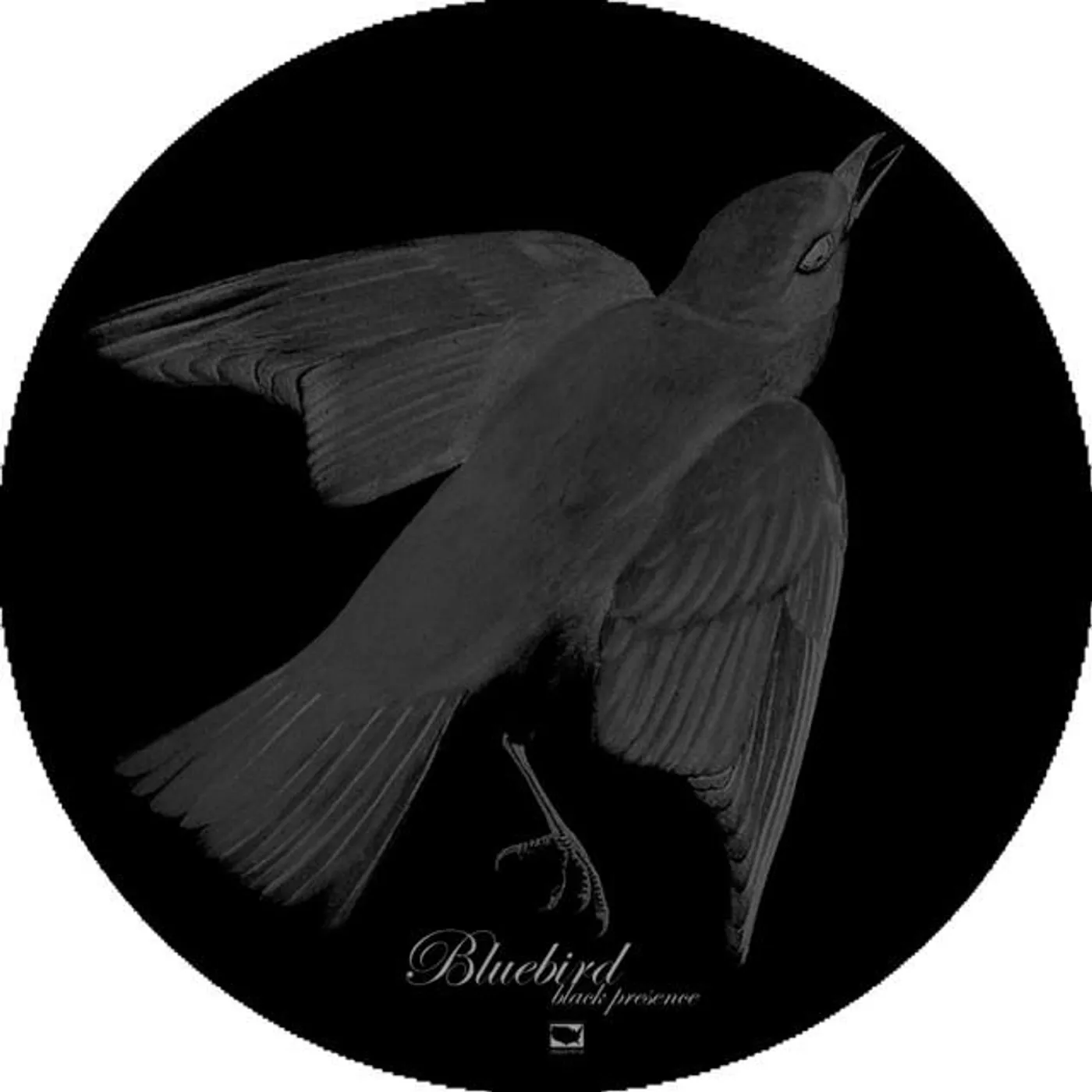 Bluebird