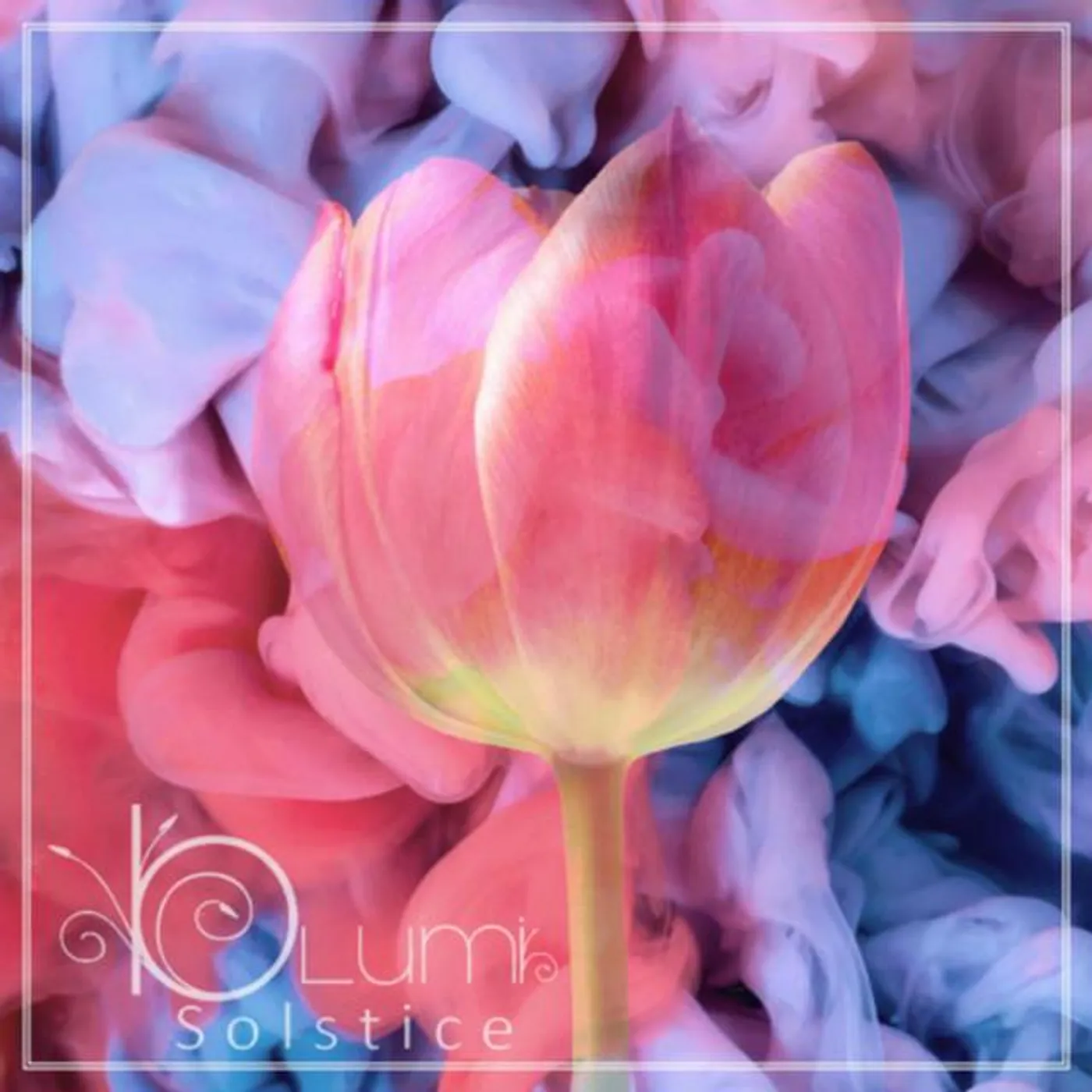 Blumi