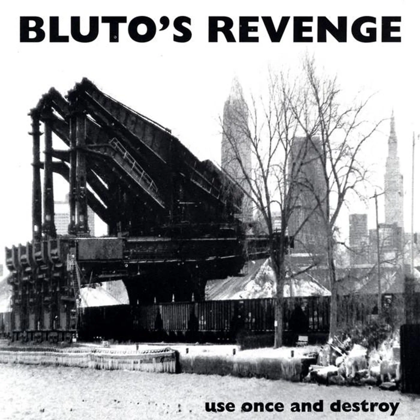 Bluto's Revenge