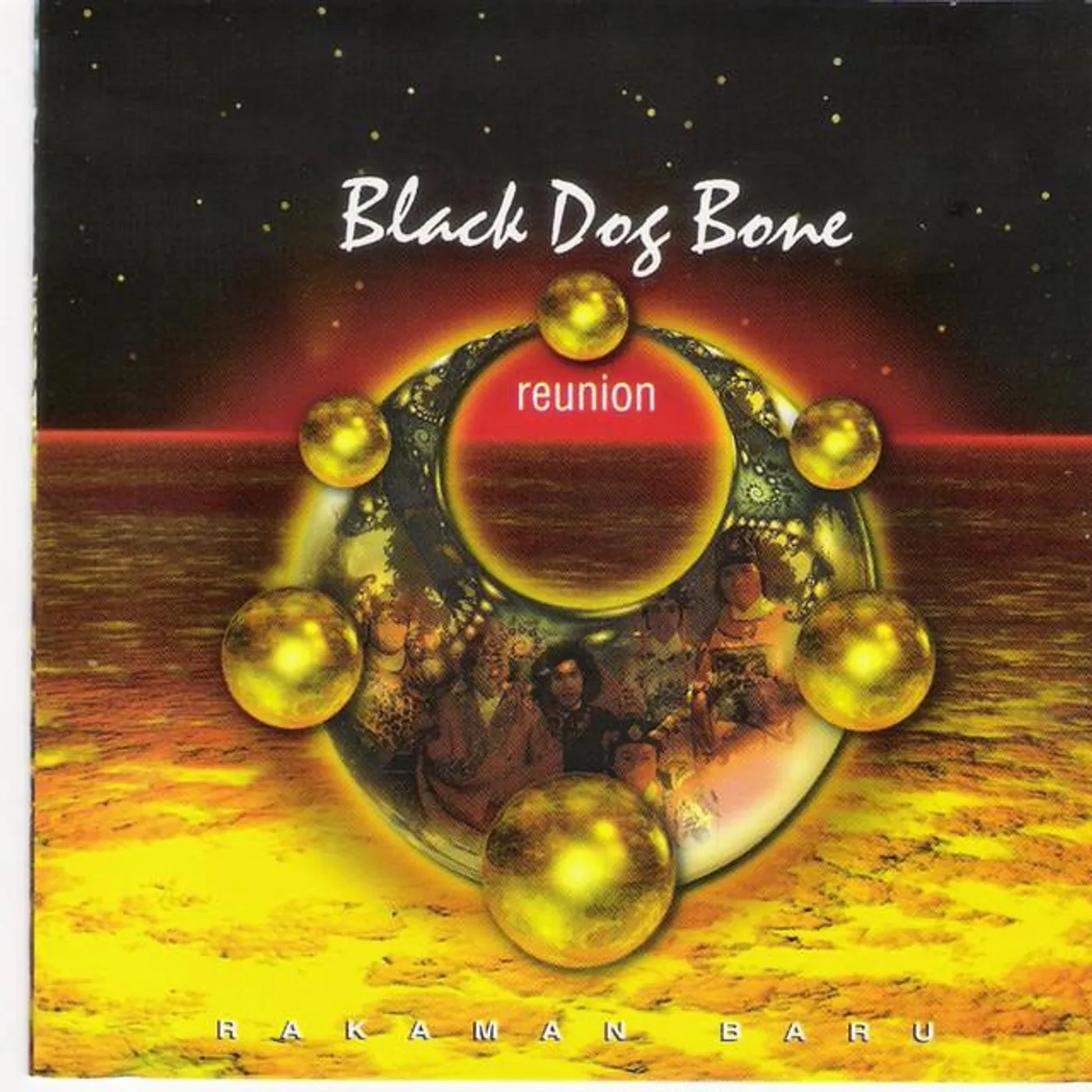 Black Dog Bone Brand Page