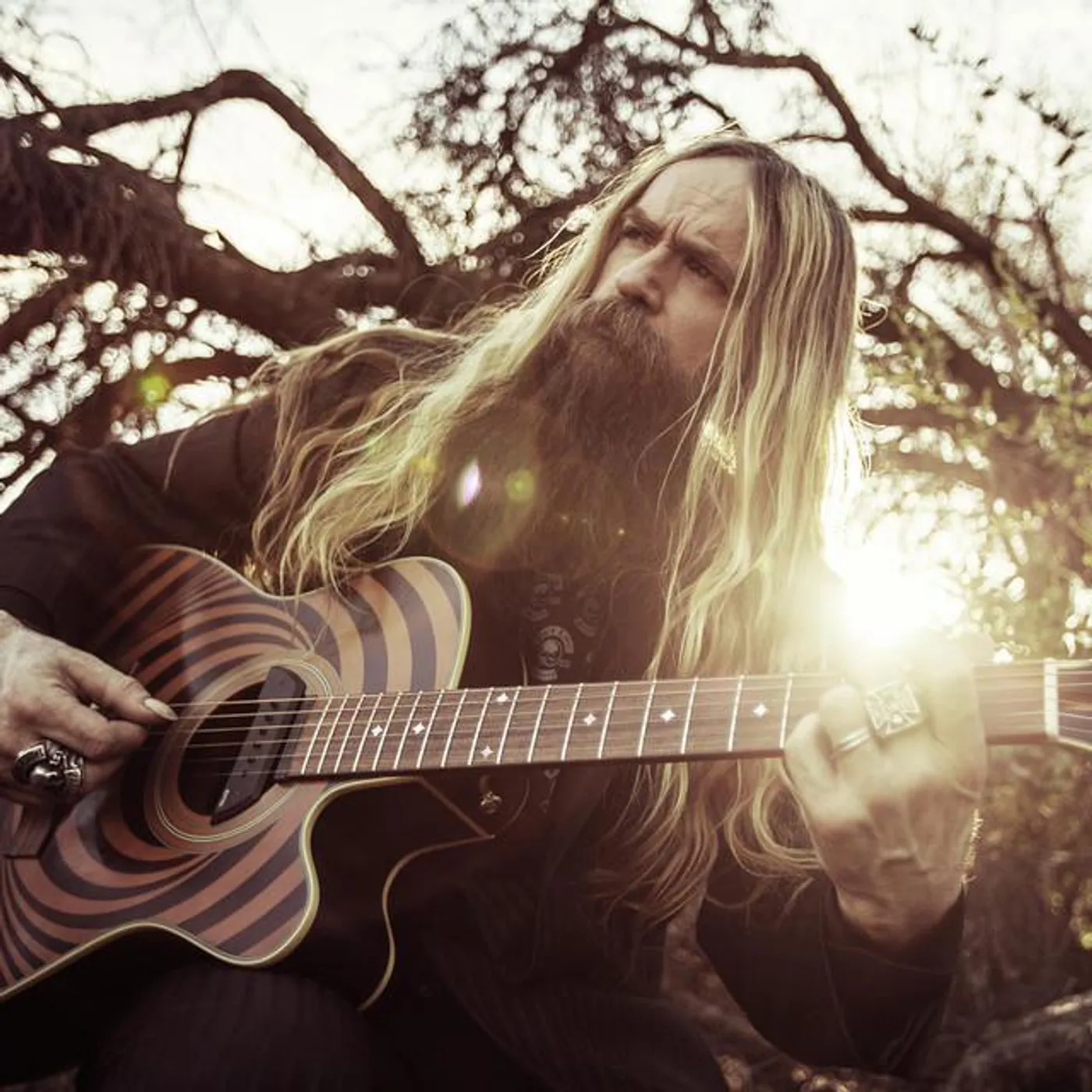 Zakk Wylde Brand Page