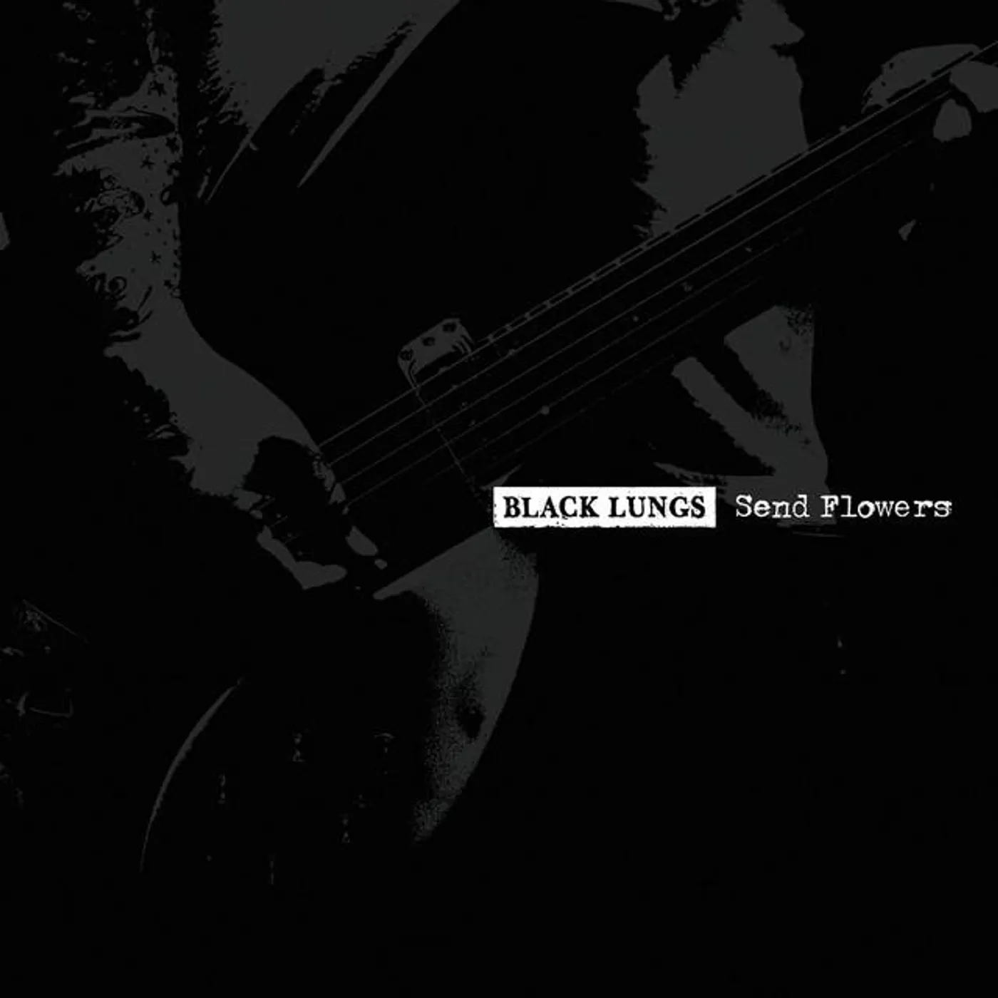 Black Lungs Brand Page