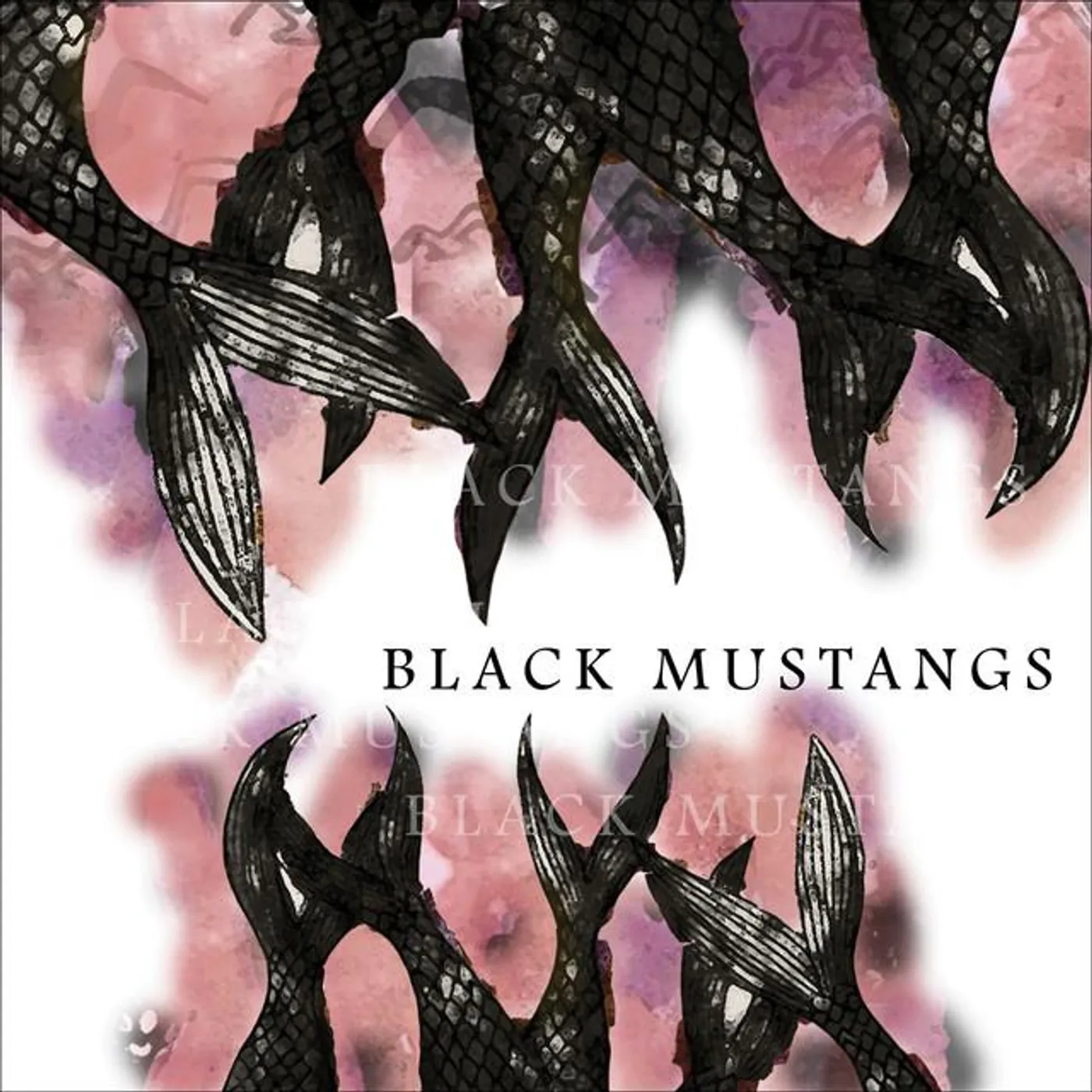 Black Mustangs