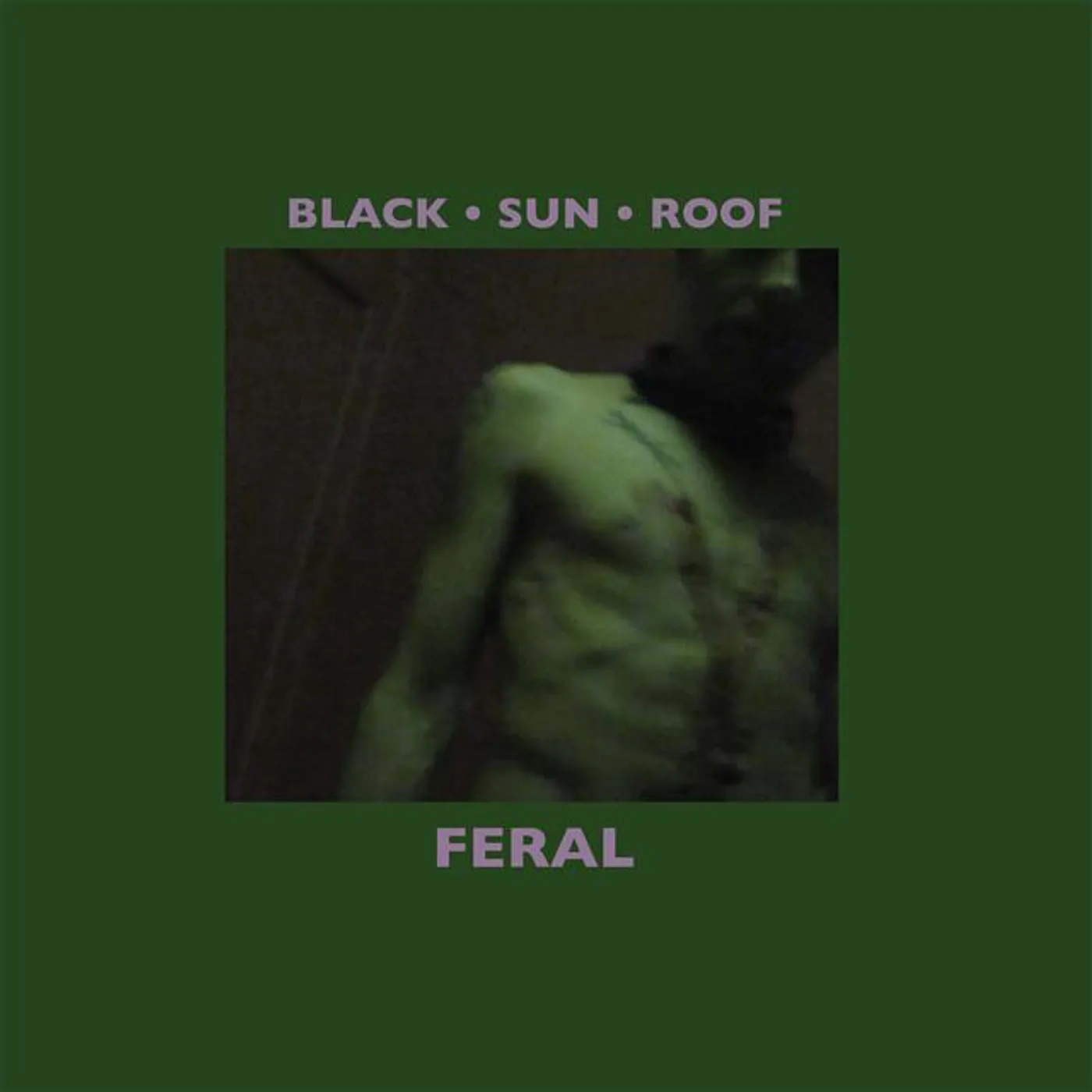 Black Sun Roof