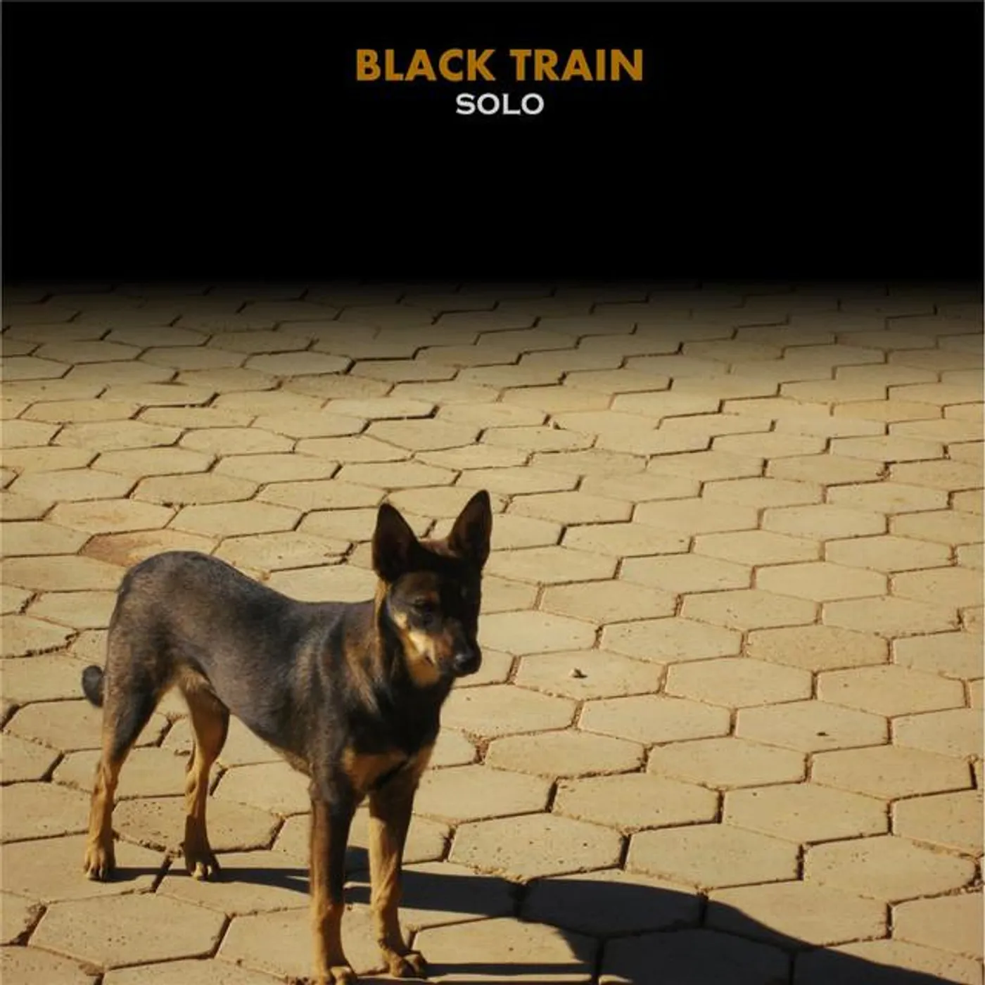 Black Train Brand Page