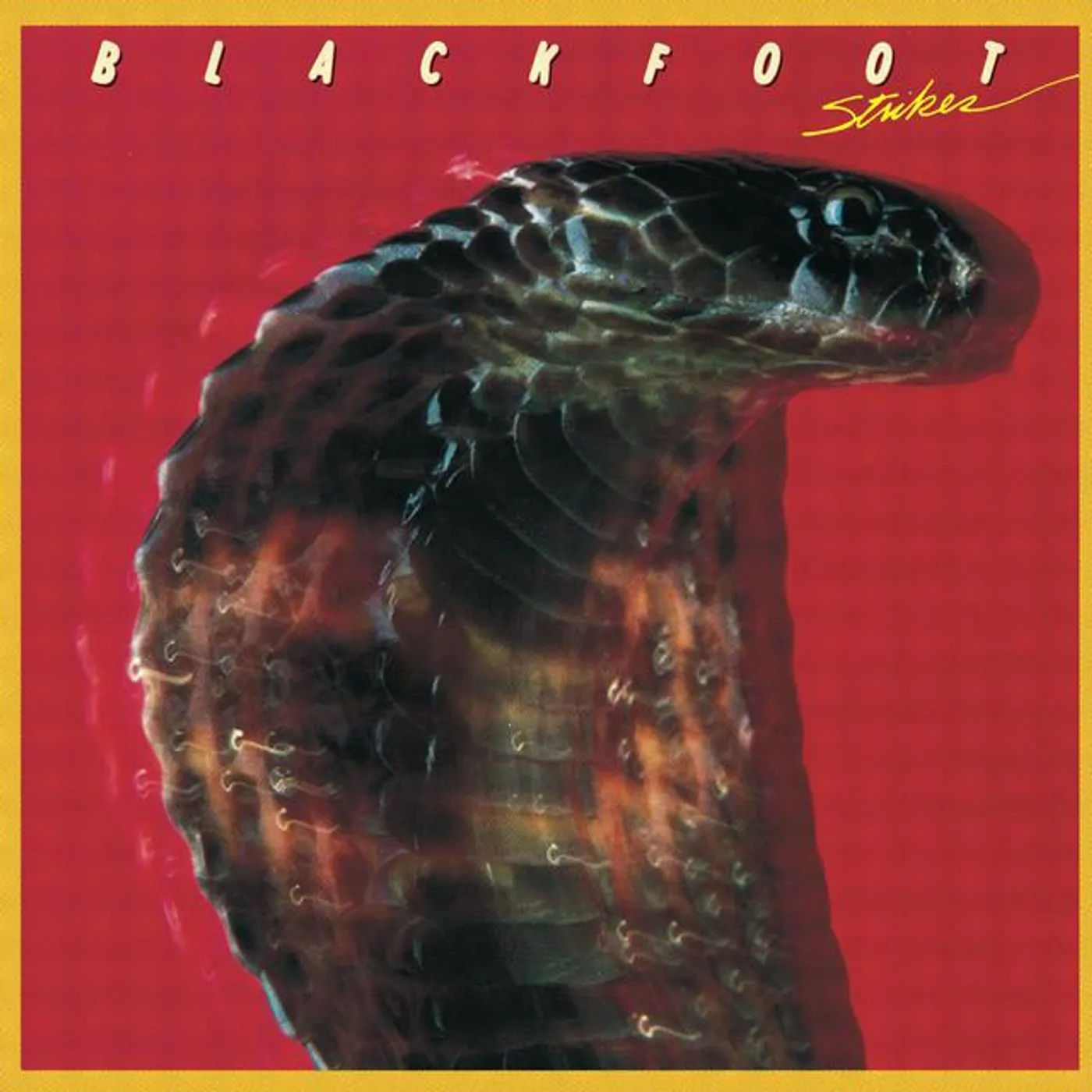 Blackfoot Brand Page