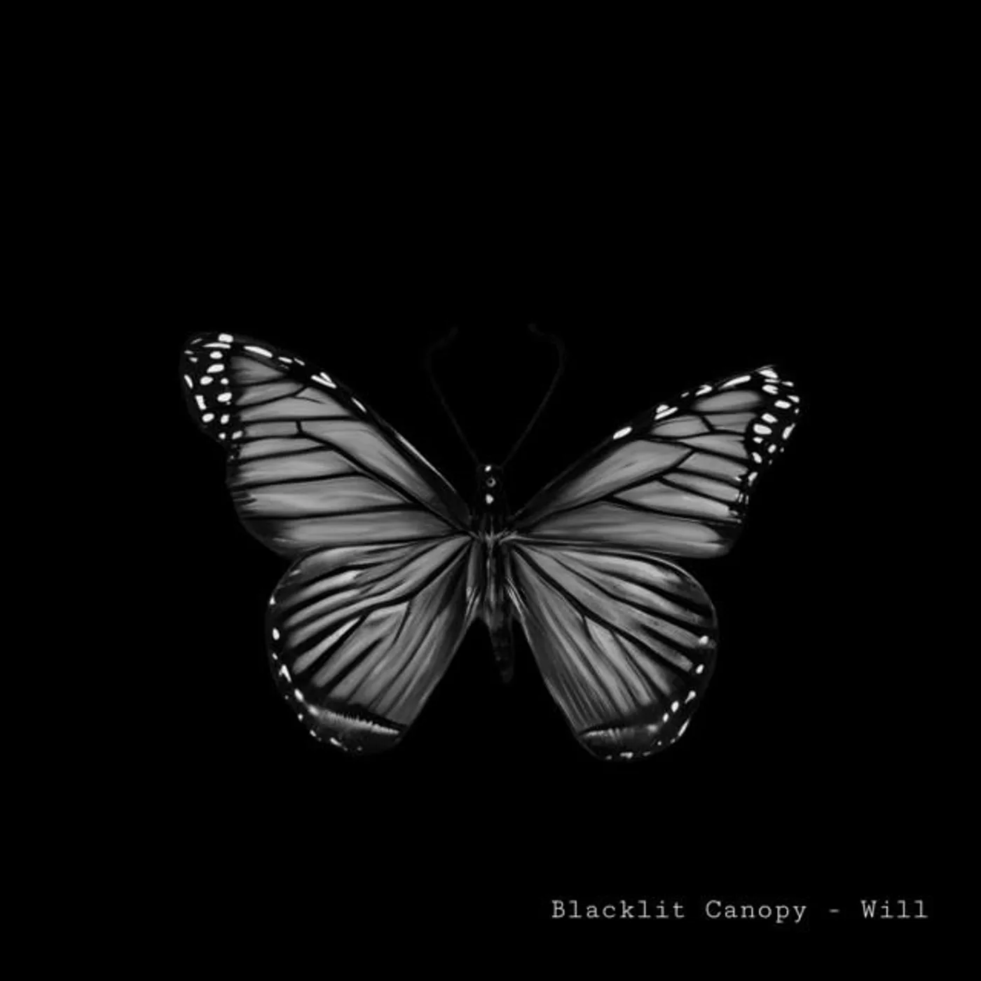 Blacklit Canopy