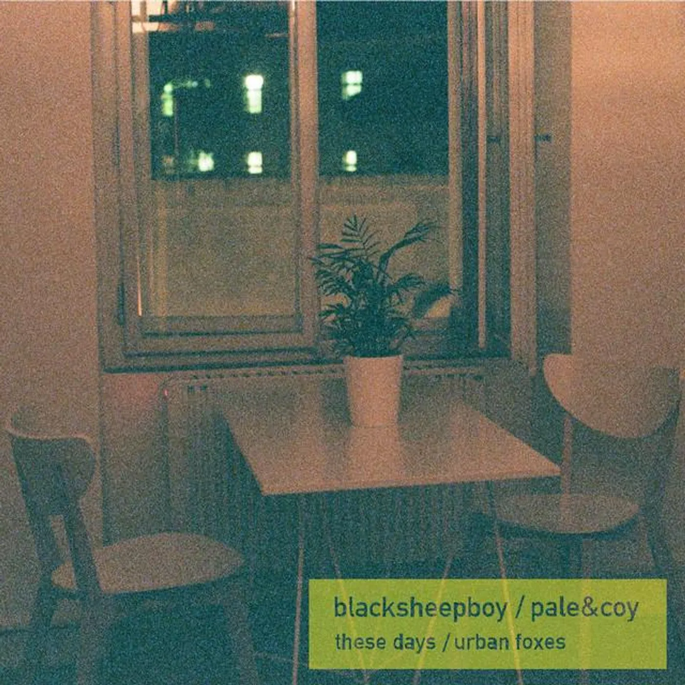 Blacksheepboy