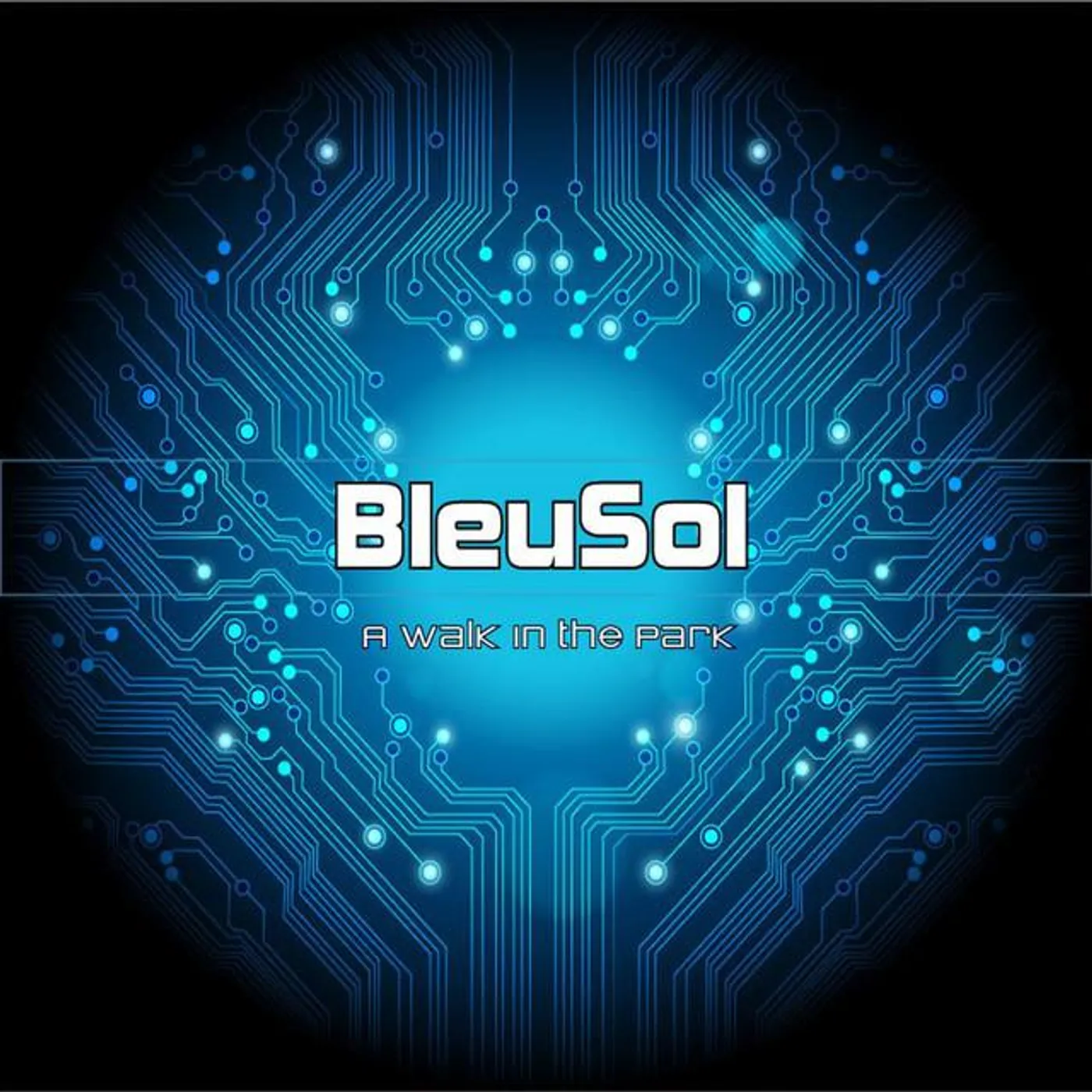 BleuSol Brand Page