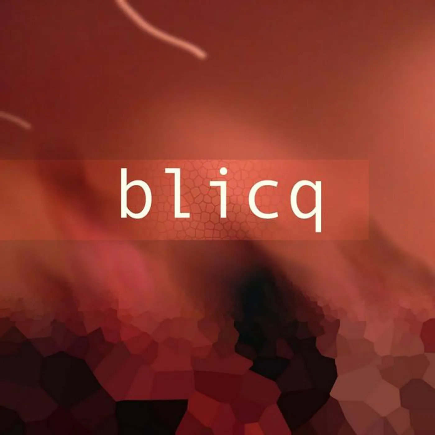 Blicq Brand Page