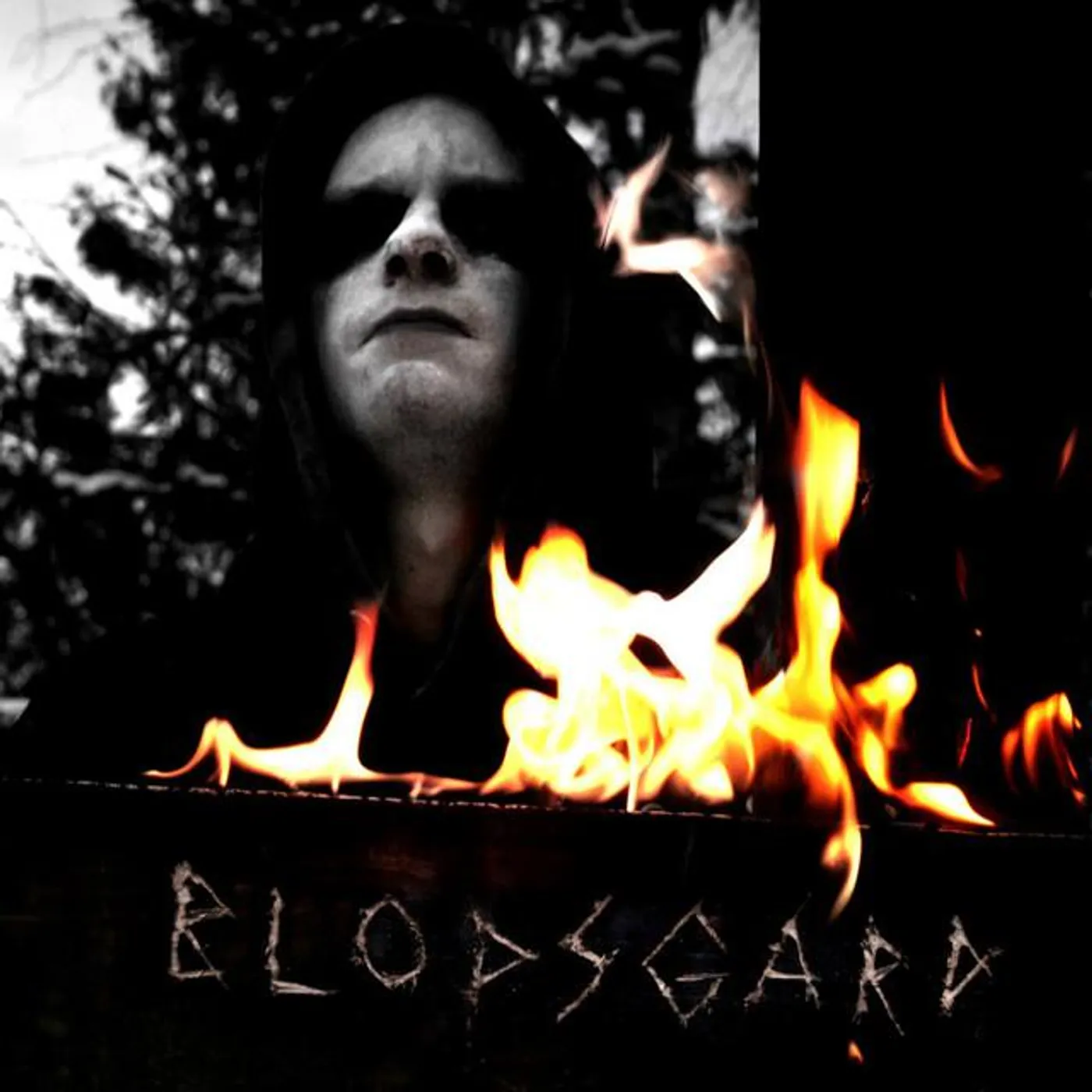 Blodsgard